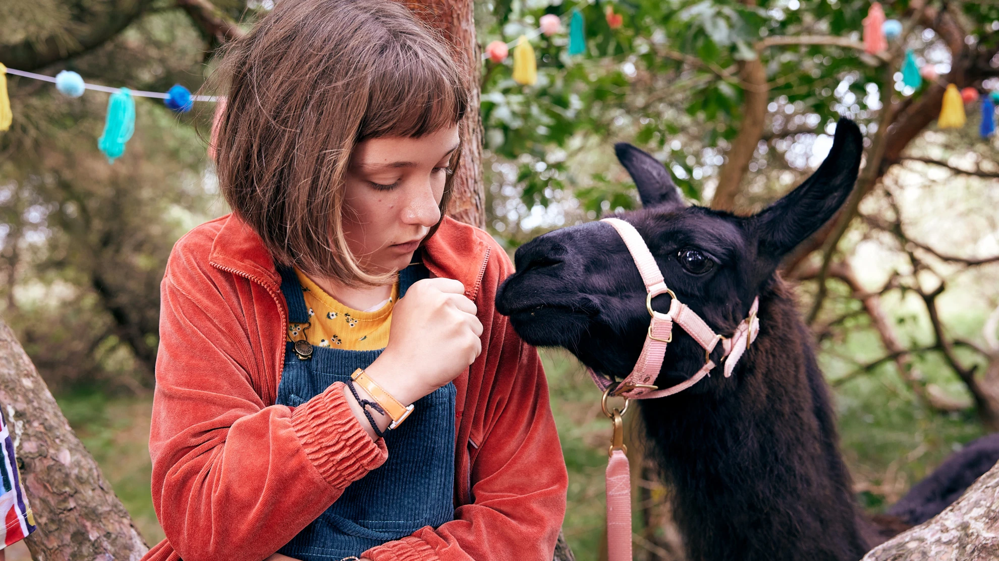 Mein Lotta-Leben - Alles Tschaka mit Alpaka hero banner image