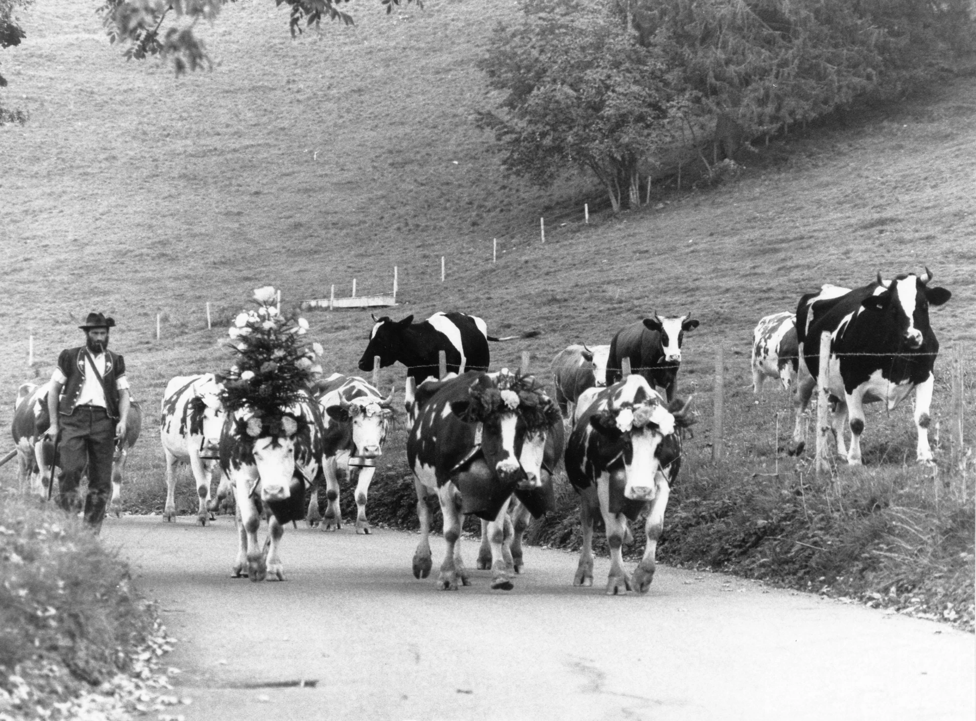 Chronique paysanne en gruyère hero banner image placeholder