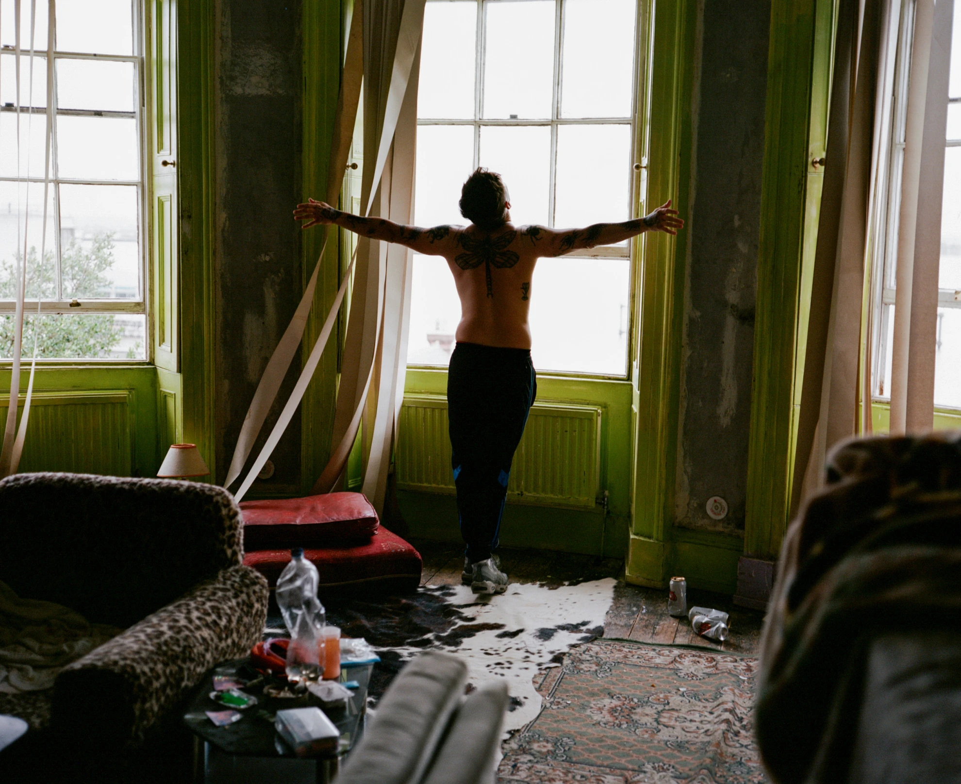 Bird hero banner image