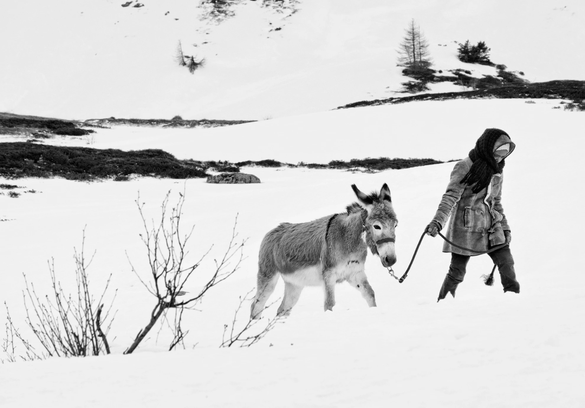 Fortuna hero banner image placeholder