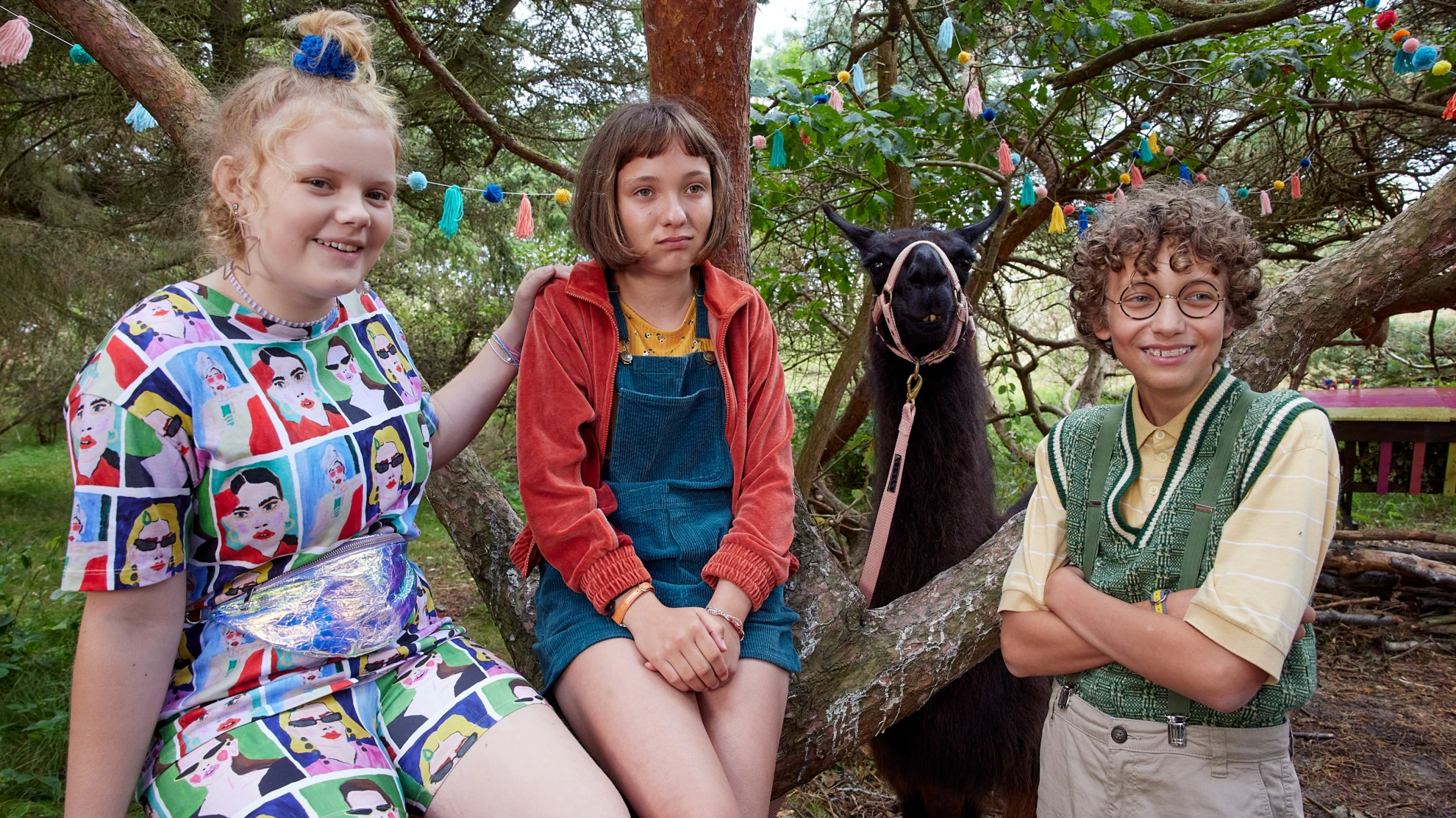 Mein Lotta-Leben - Alles Tschaka mit Alpaka hero banner image placeholder