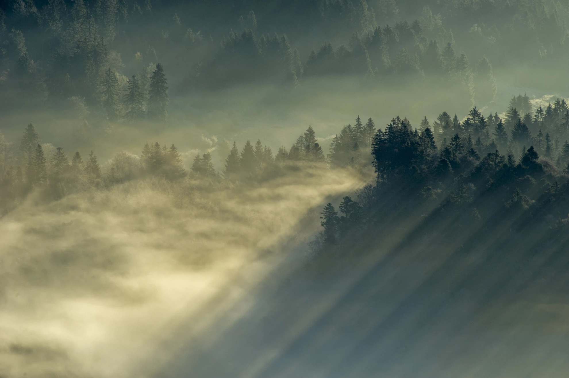 Luchs hero banner image placeholder