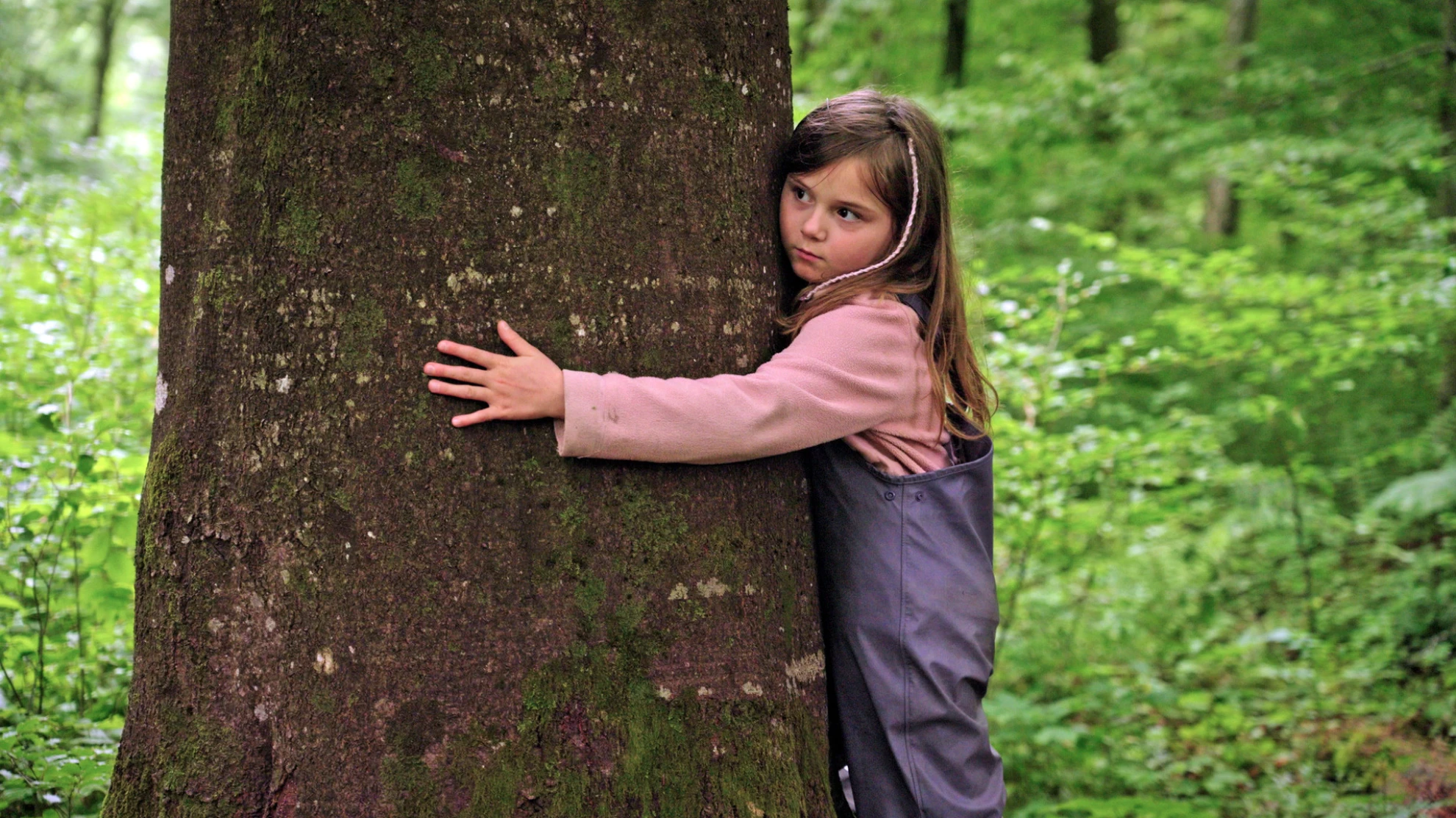 Von Kindern und Bäumen – Ein Jahr in der Waldschule hero banner image placeholder