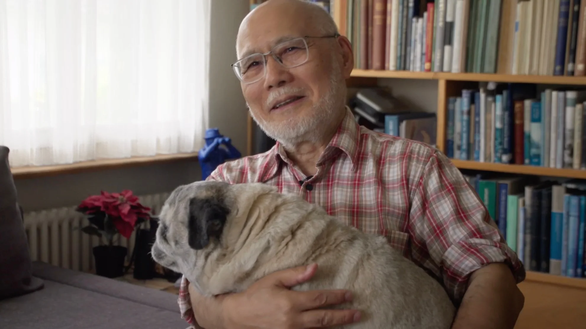 Der Eismann hero banner image placeholder