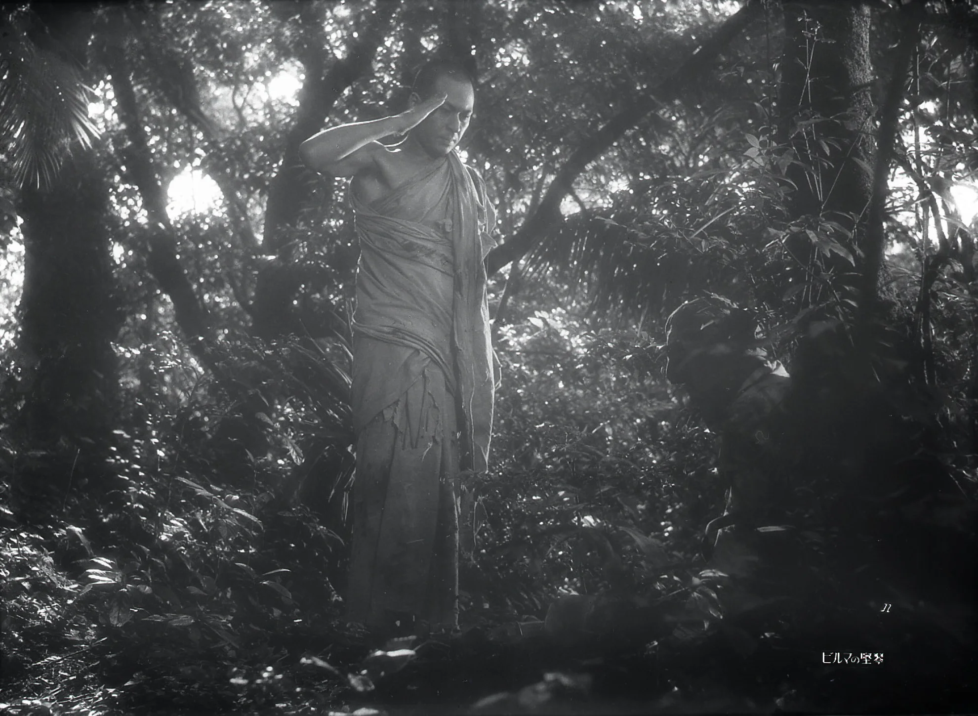 The Burmese Harp hero banner image placeholder