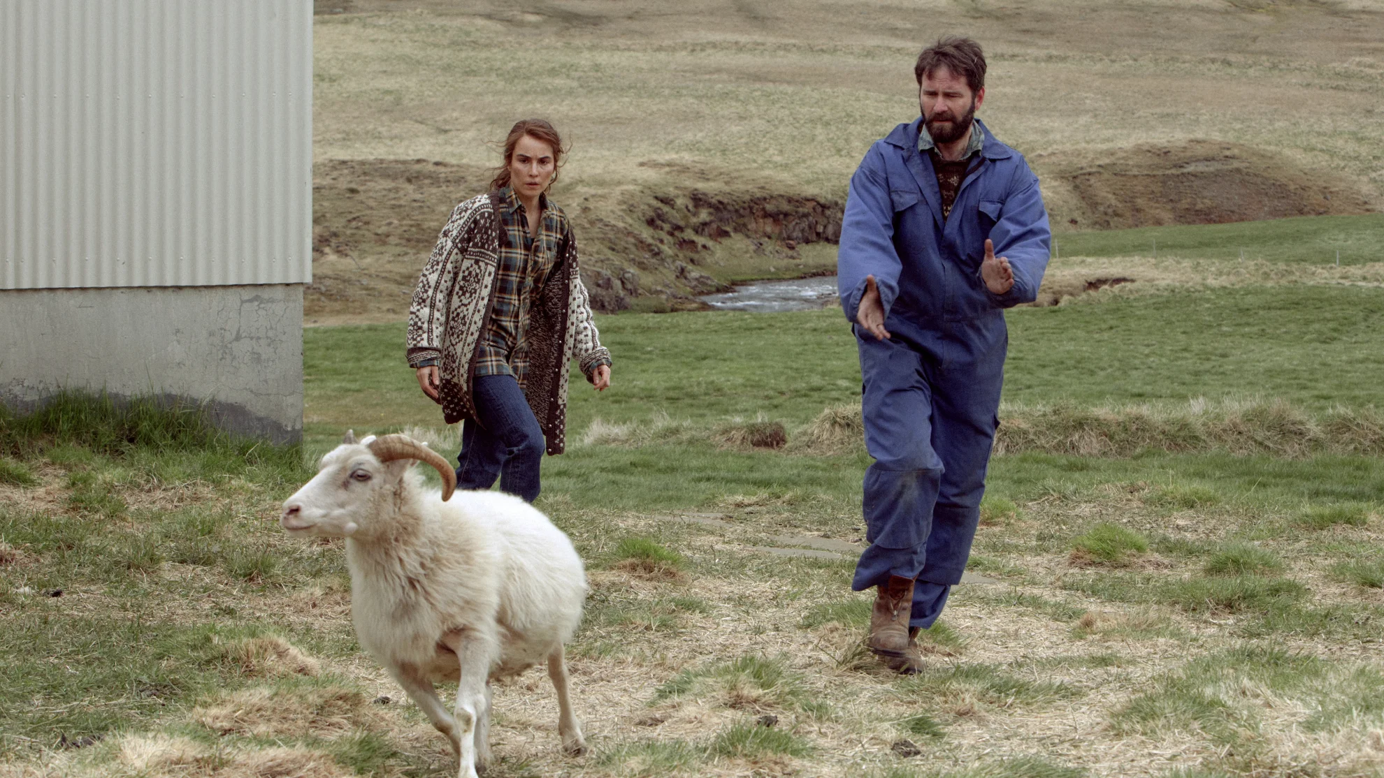 Lamb hero banner image placeholder