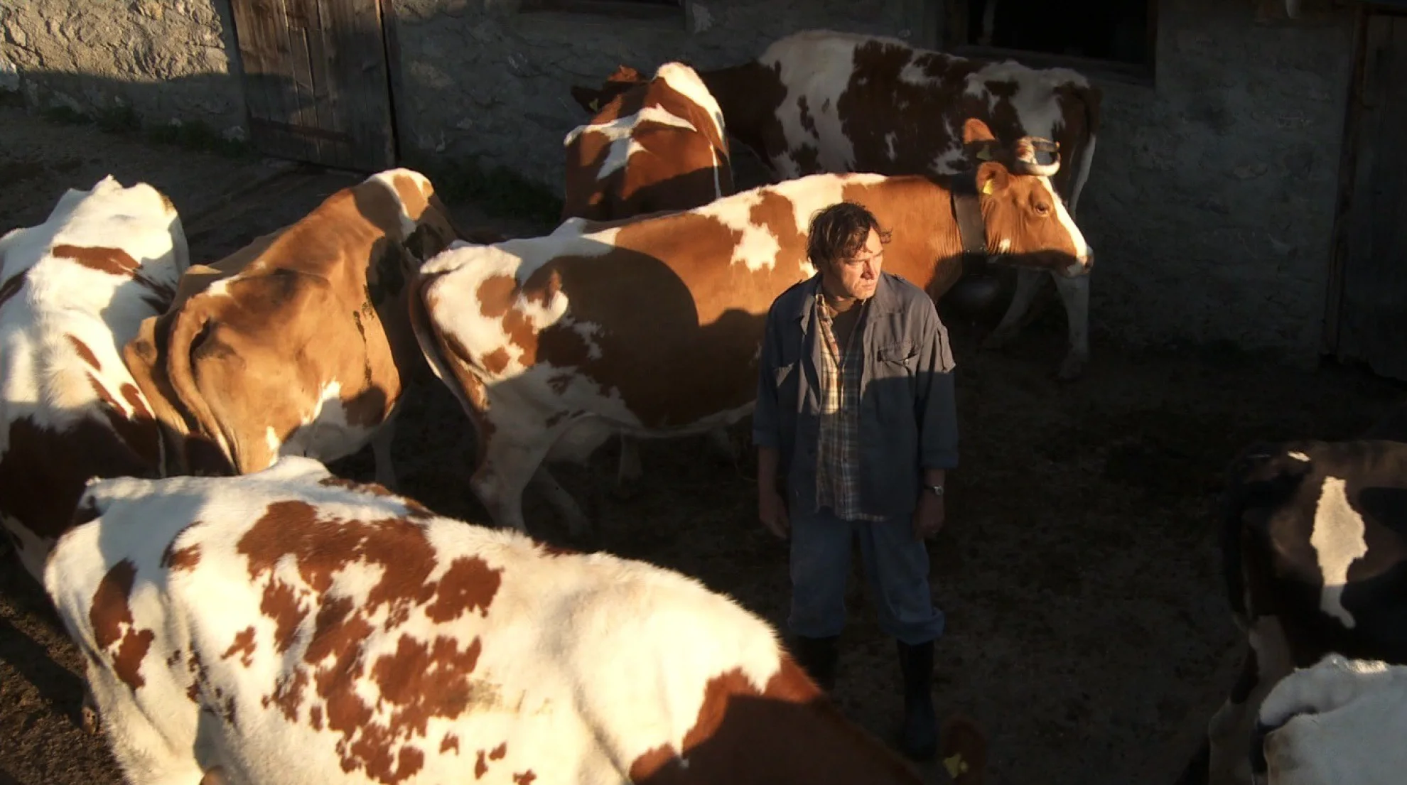 Coeur animal hero banner image