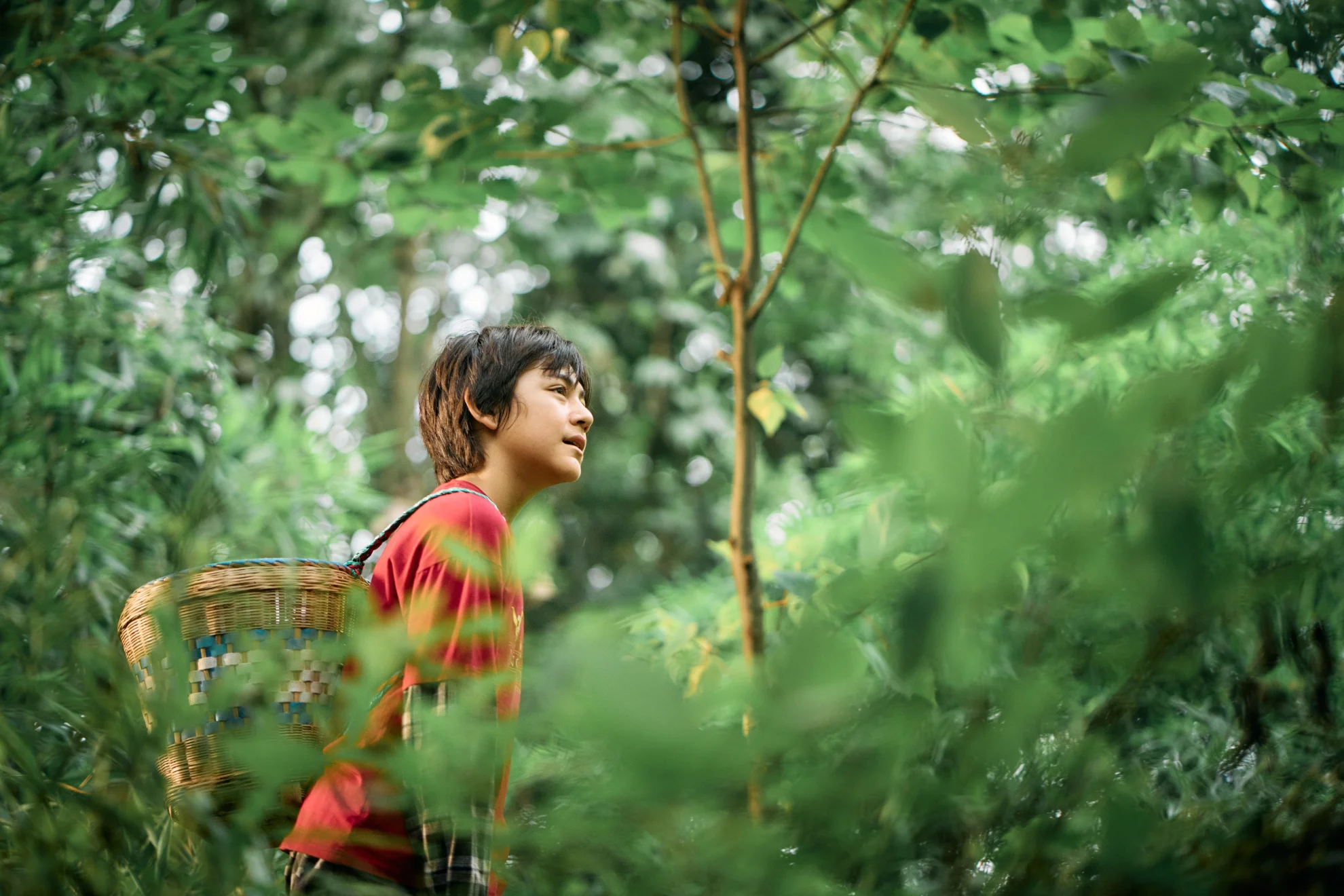 Moon, der Panda hero banner image placeholder