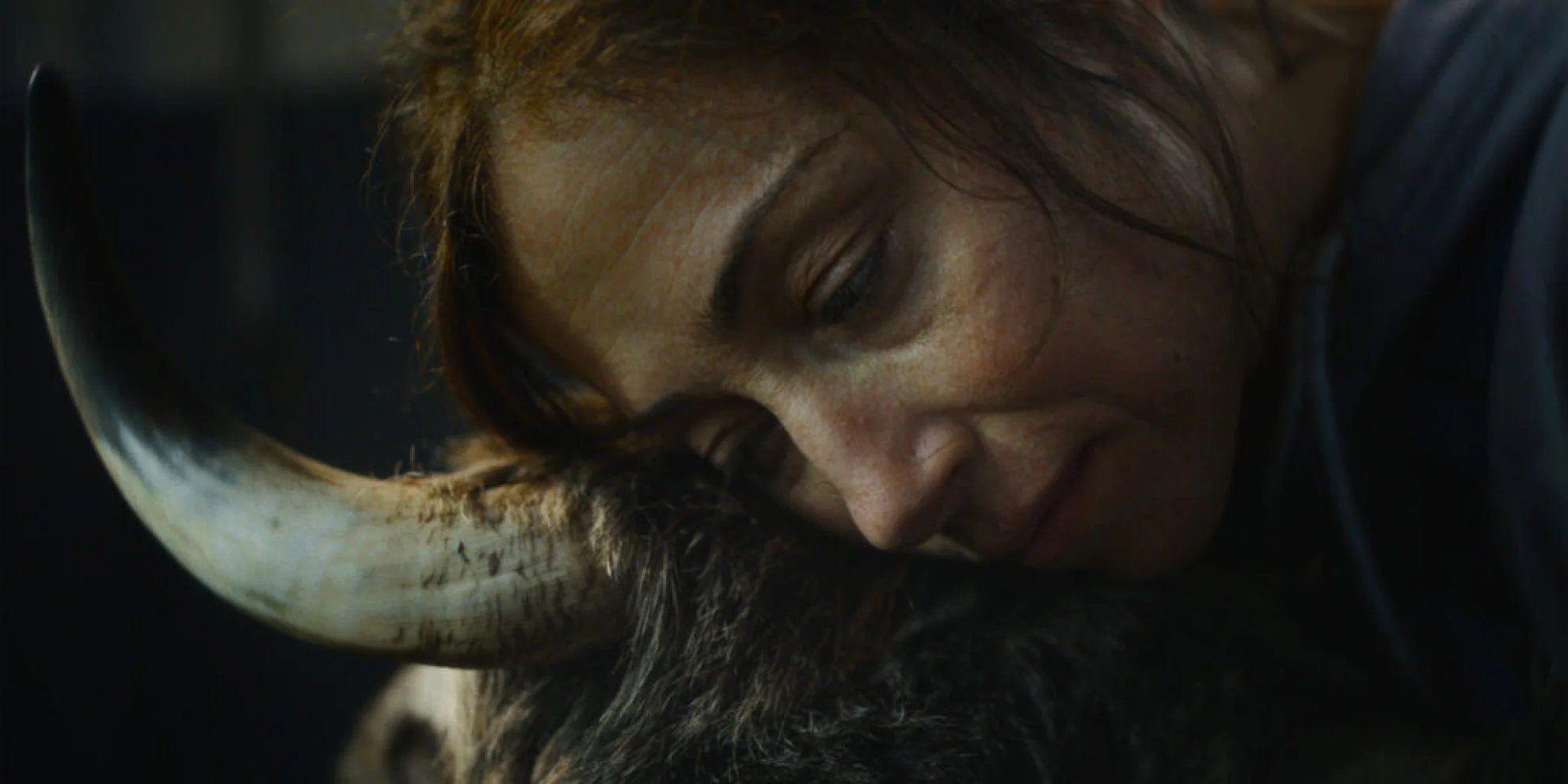 Alle die Du bist hero banner image placeholder