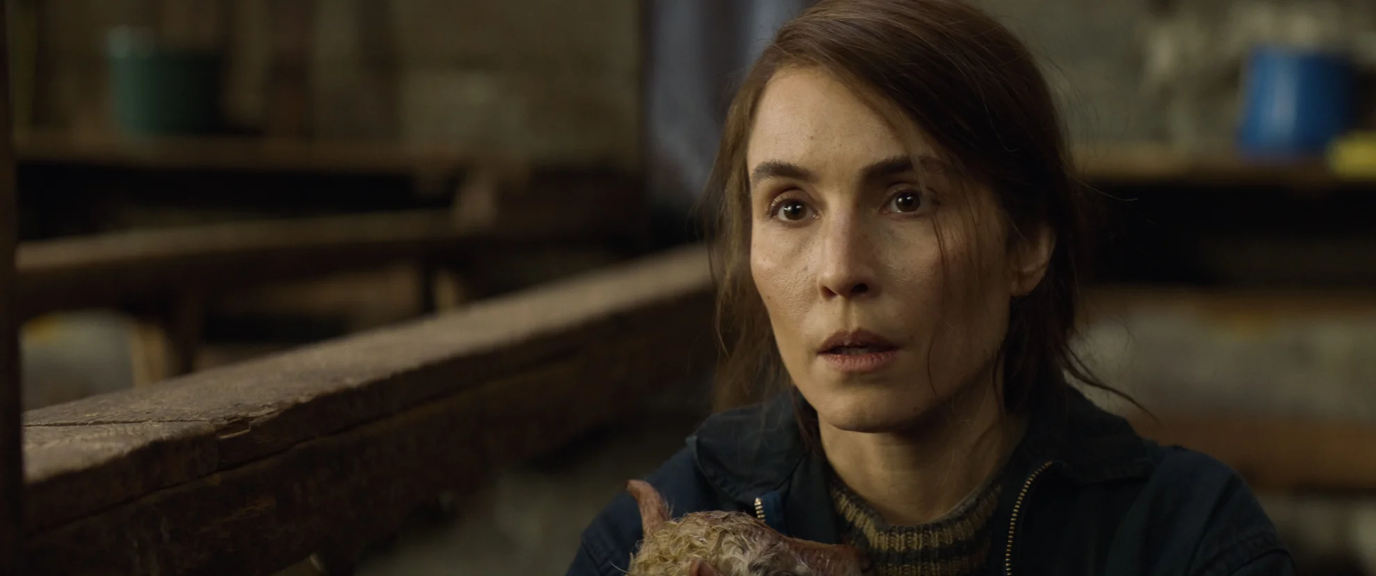 Lamb hero banner image placeholder