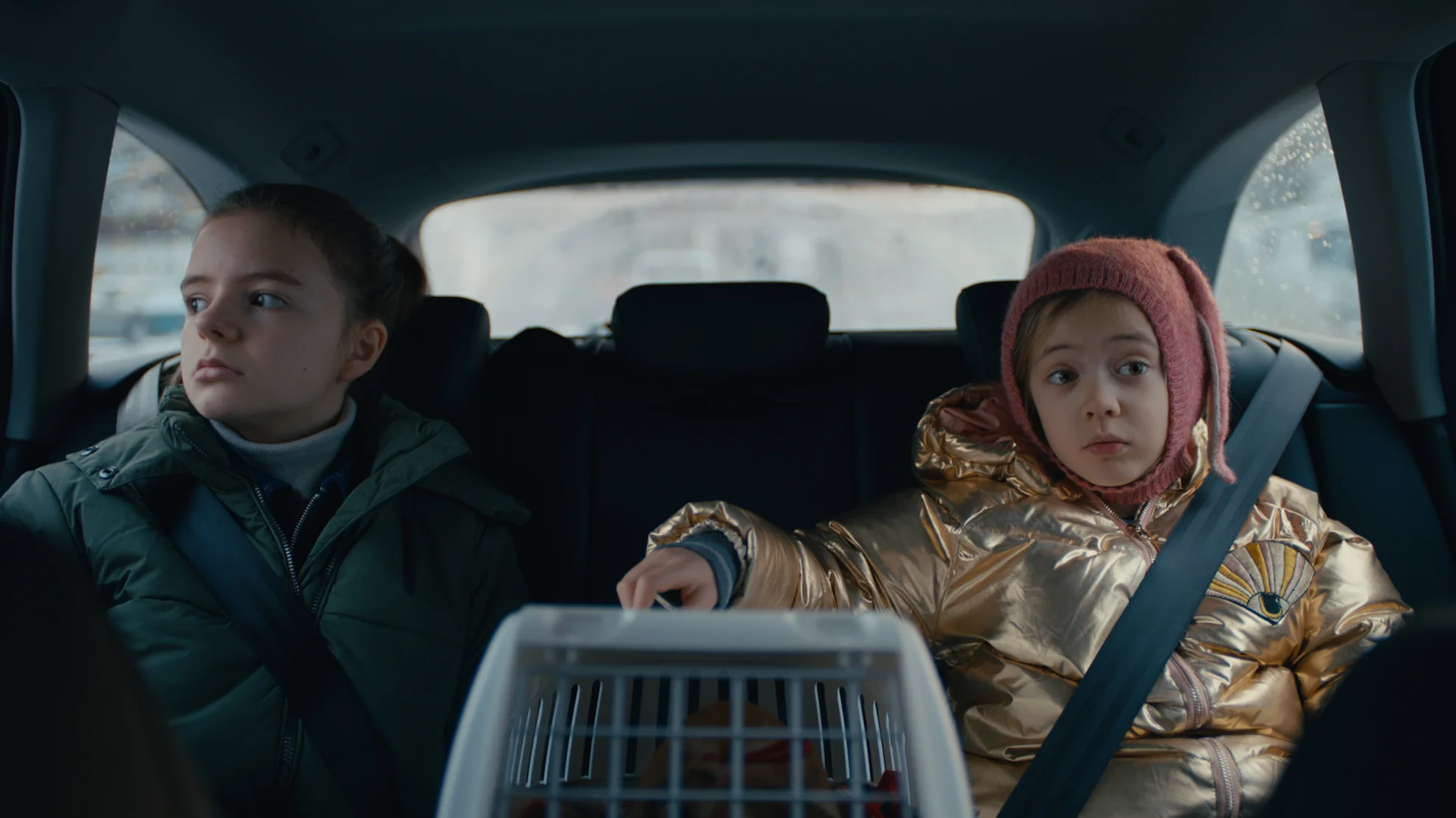 Vildmænd hero banner image placeholder