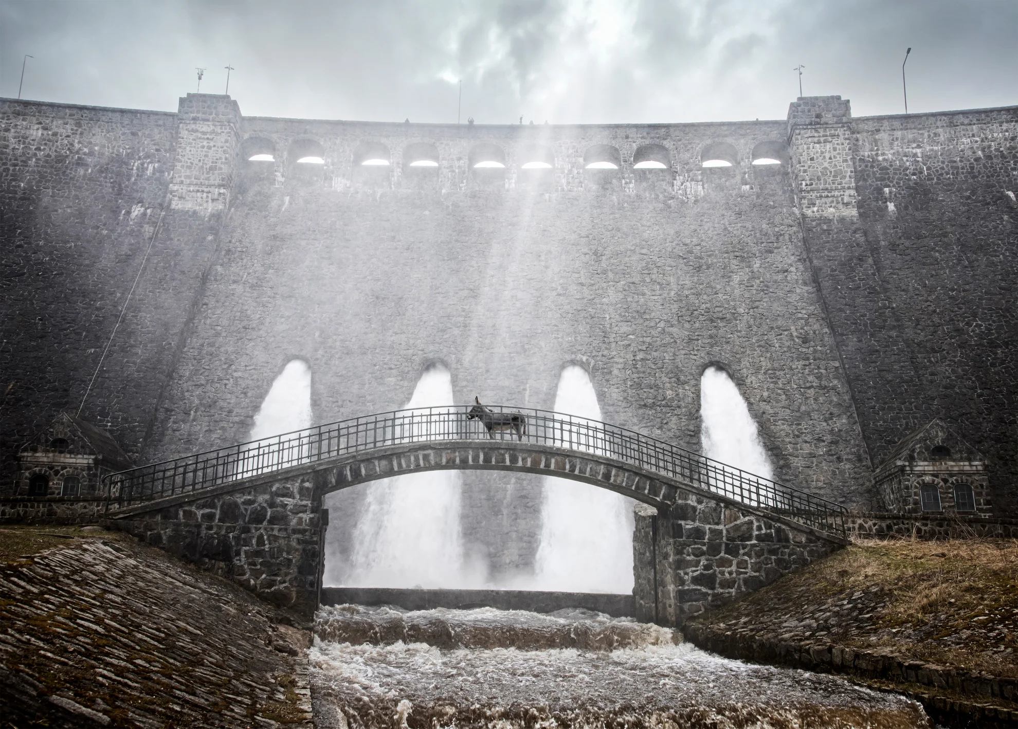 EO hero banner image placeholder