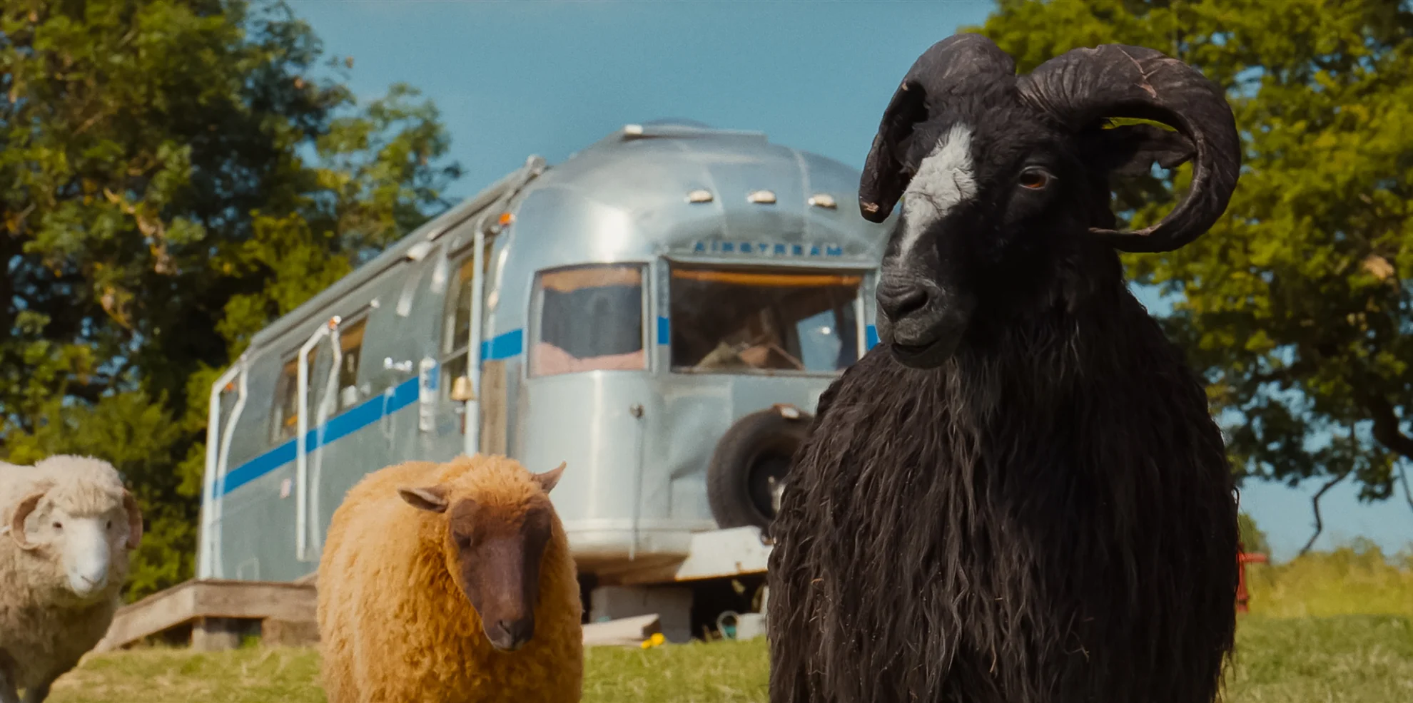 The Sheep Detectives hero banner image placeholder