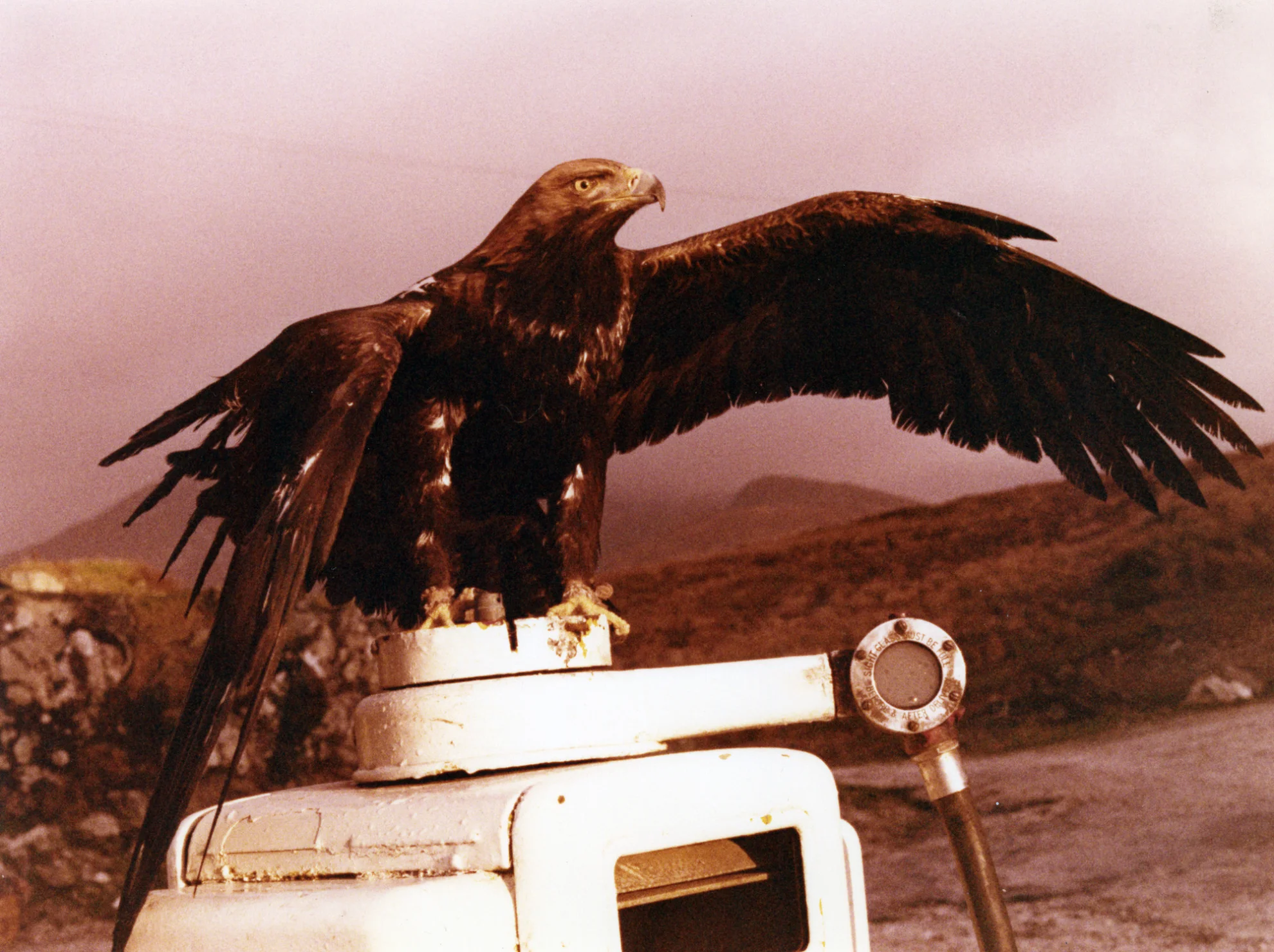 Light Years Away hero banner image placeholder