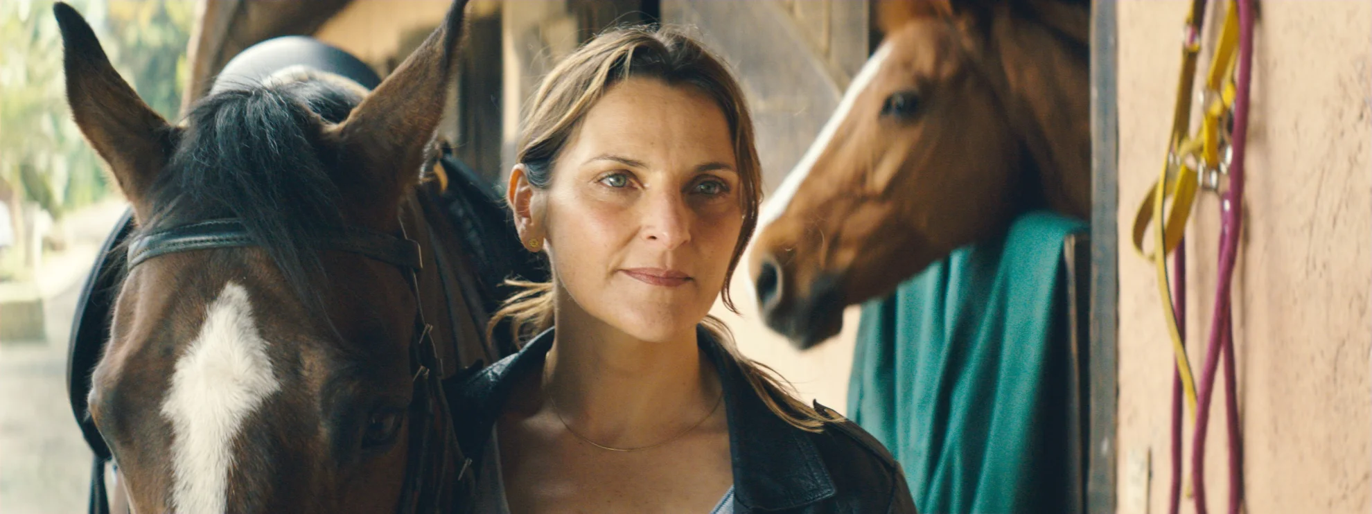 Los Perros hero banner image