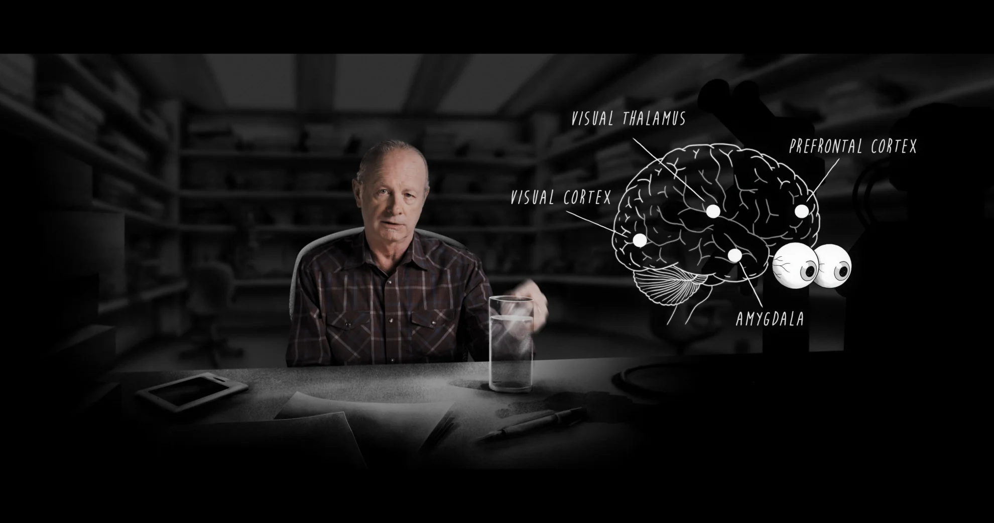 The Scent of Fear hero banner image placeholder