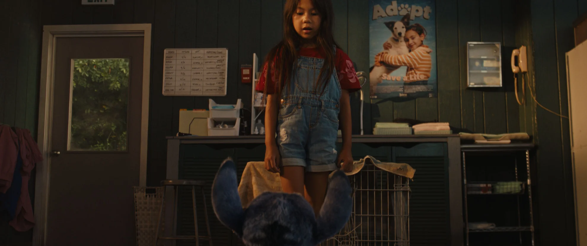 Lilo & Stitch hero banner image placeholder