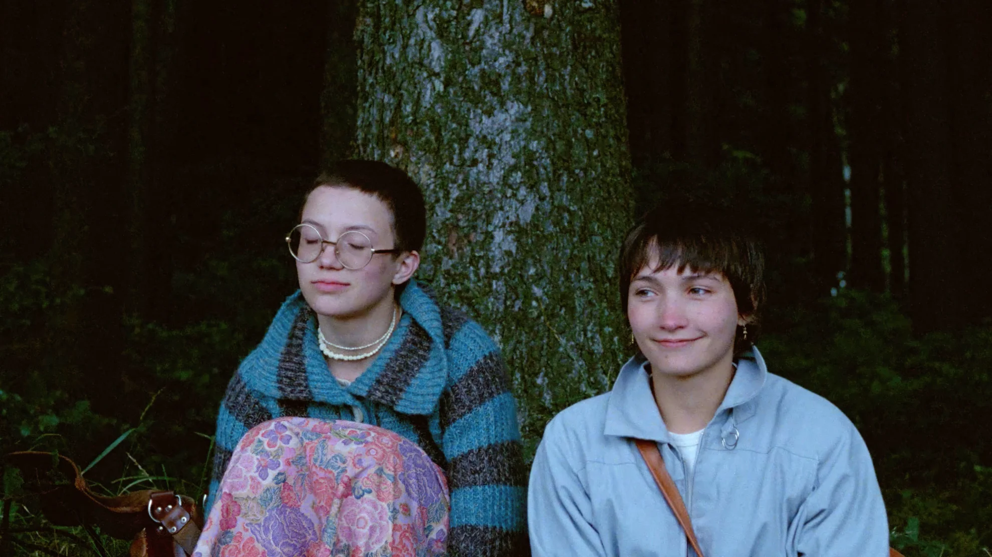 Messidor hero banner image