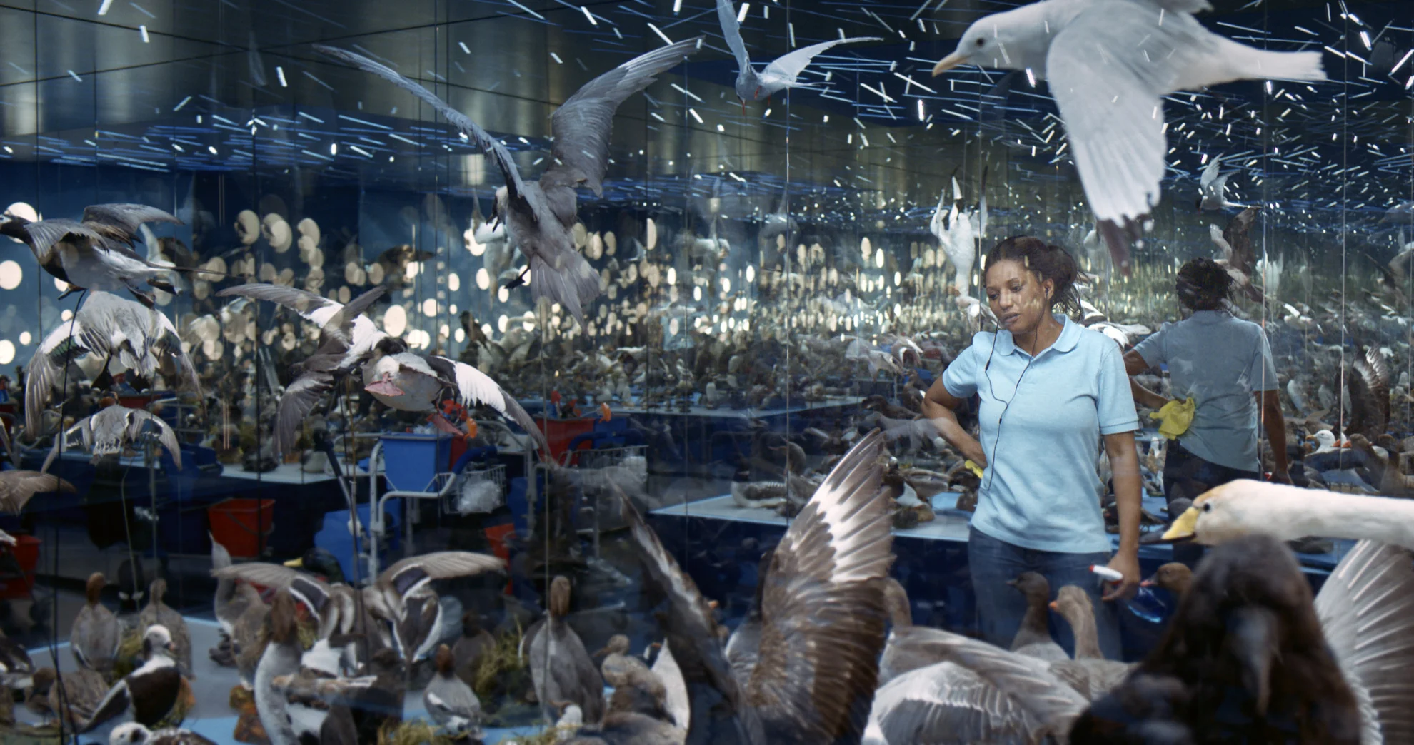 Echo hero banner image placeholder