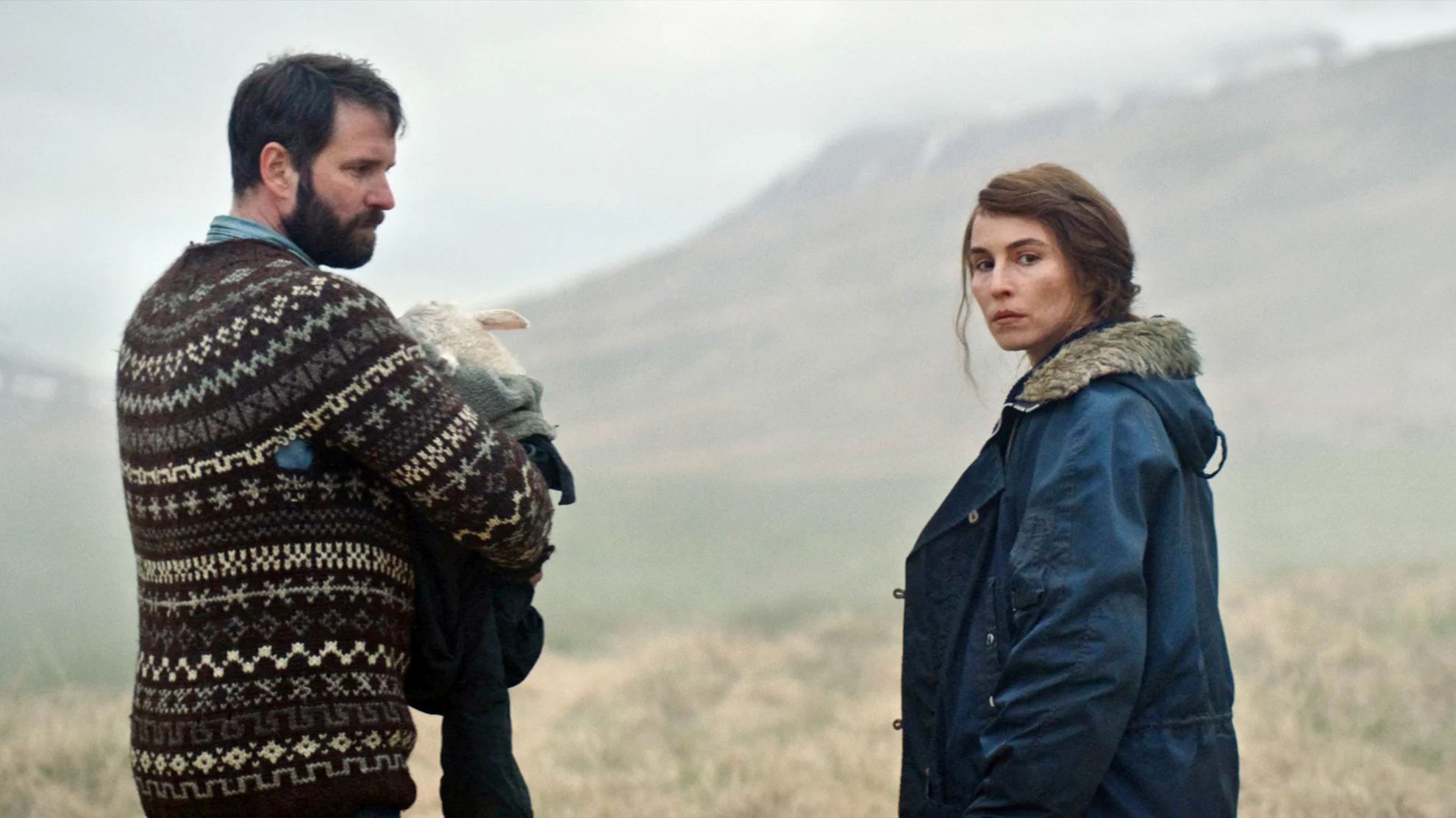 Lamb hero banner image placeholder