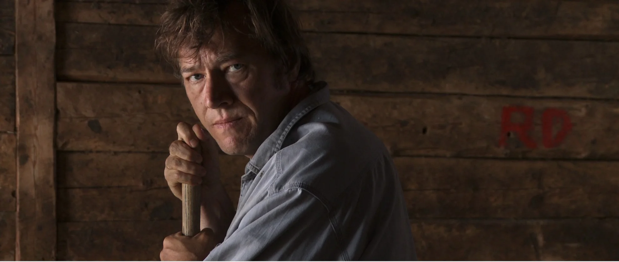 Coeur animal hero banner image placeholder