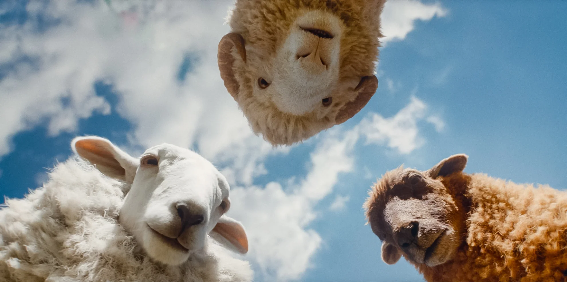 The Sheep Detectives hero banner image placeholder