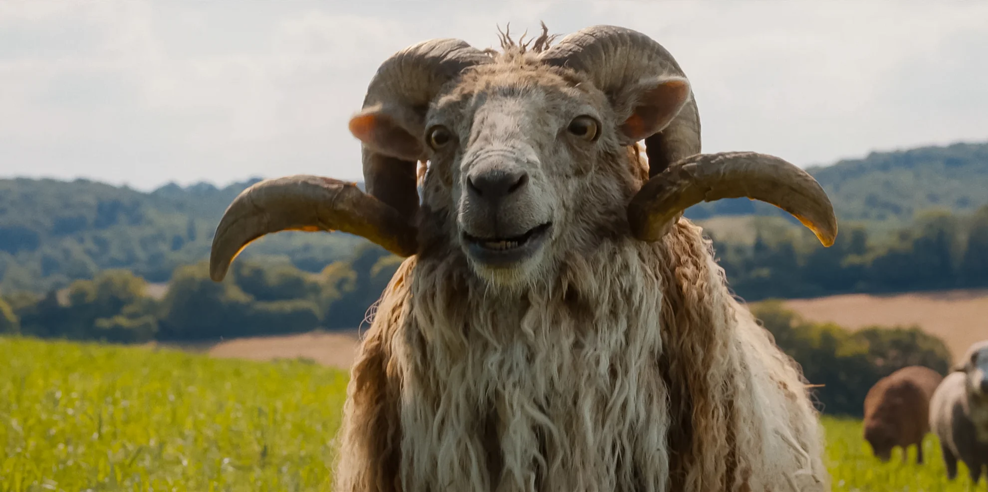 The Sheep Detectives hero banner image placeholder