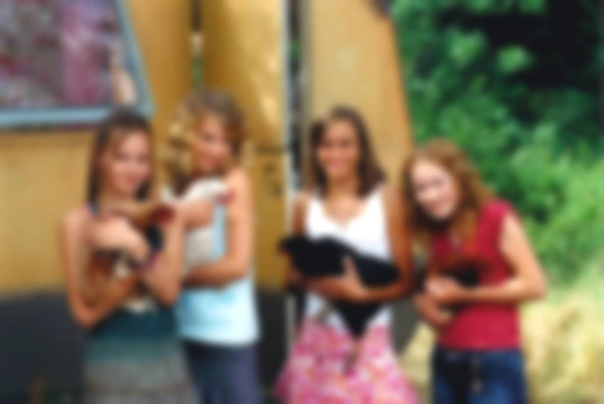 Die wilden Hühner und die Liebe hero banner image placeholder