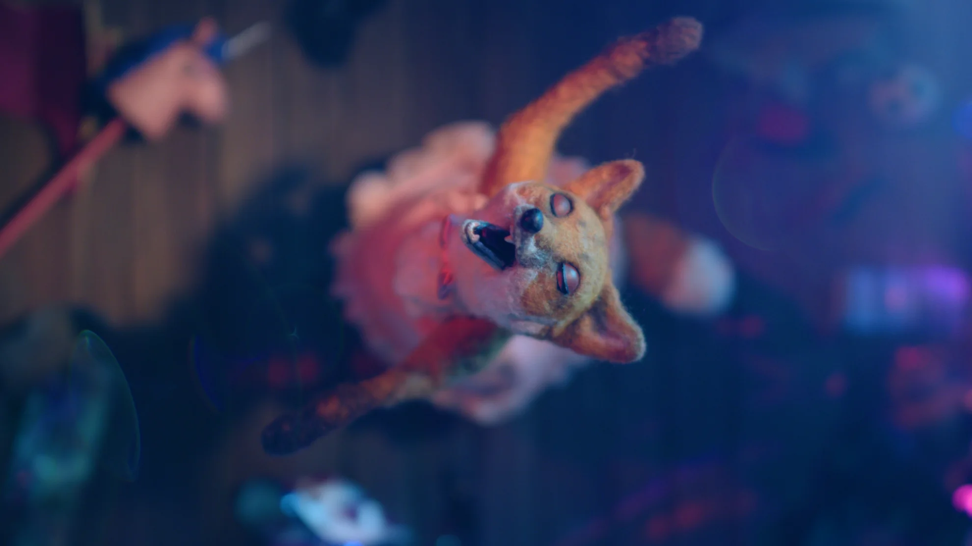 Kurzfilmprogramm: Heimspiel hero banner image placeholder