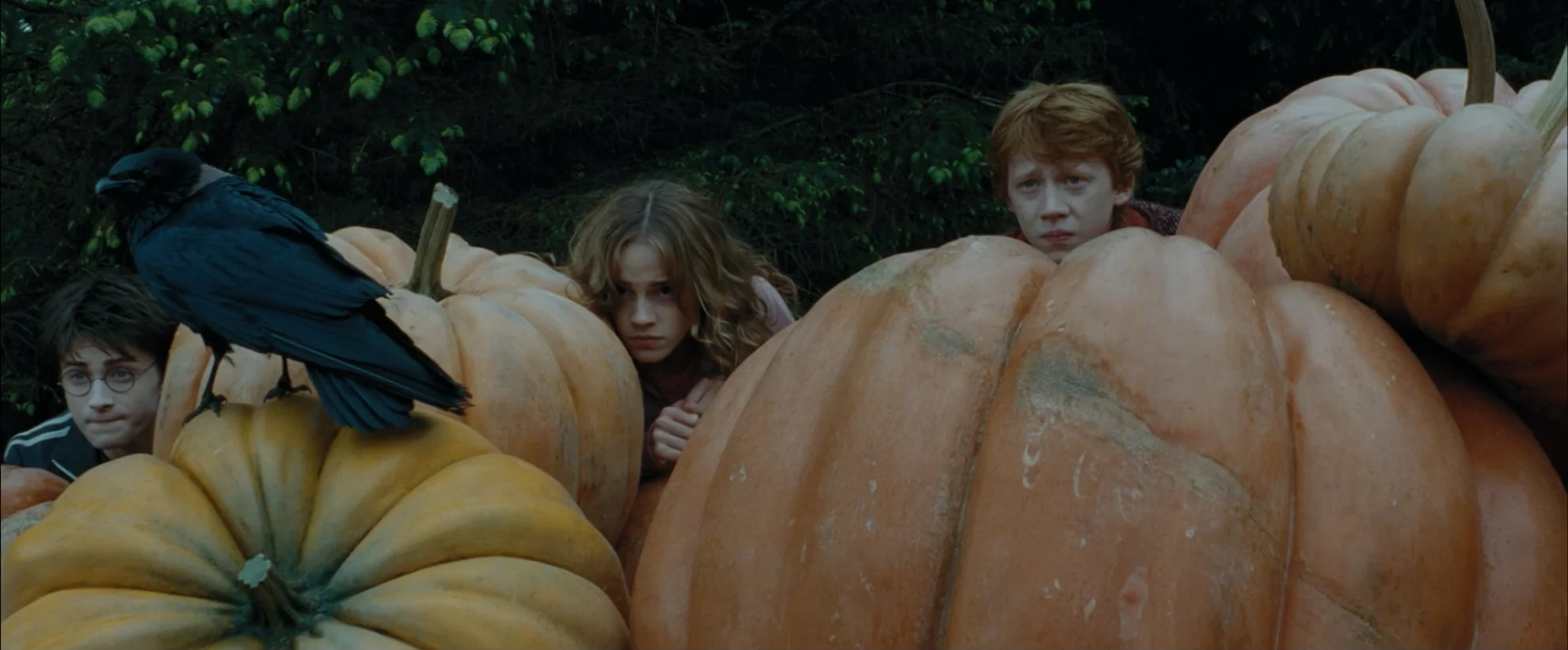 Harry Potter 1-4 hero banner image placeholder