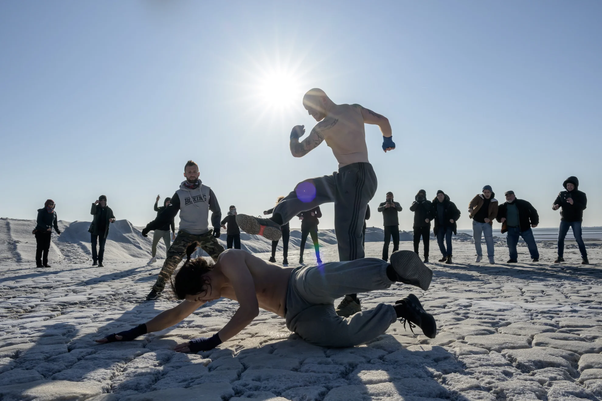 Bisons hero banner image