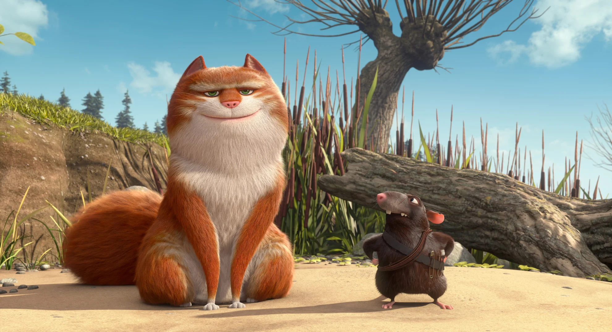 Maurice, der Kater hero banner image placeholder