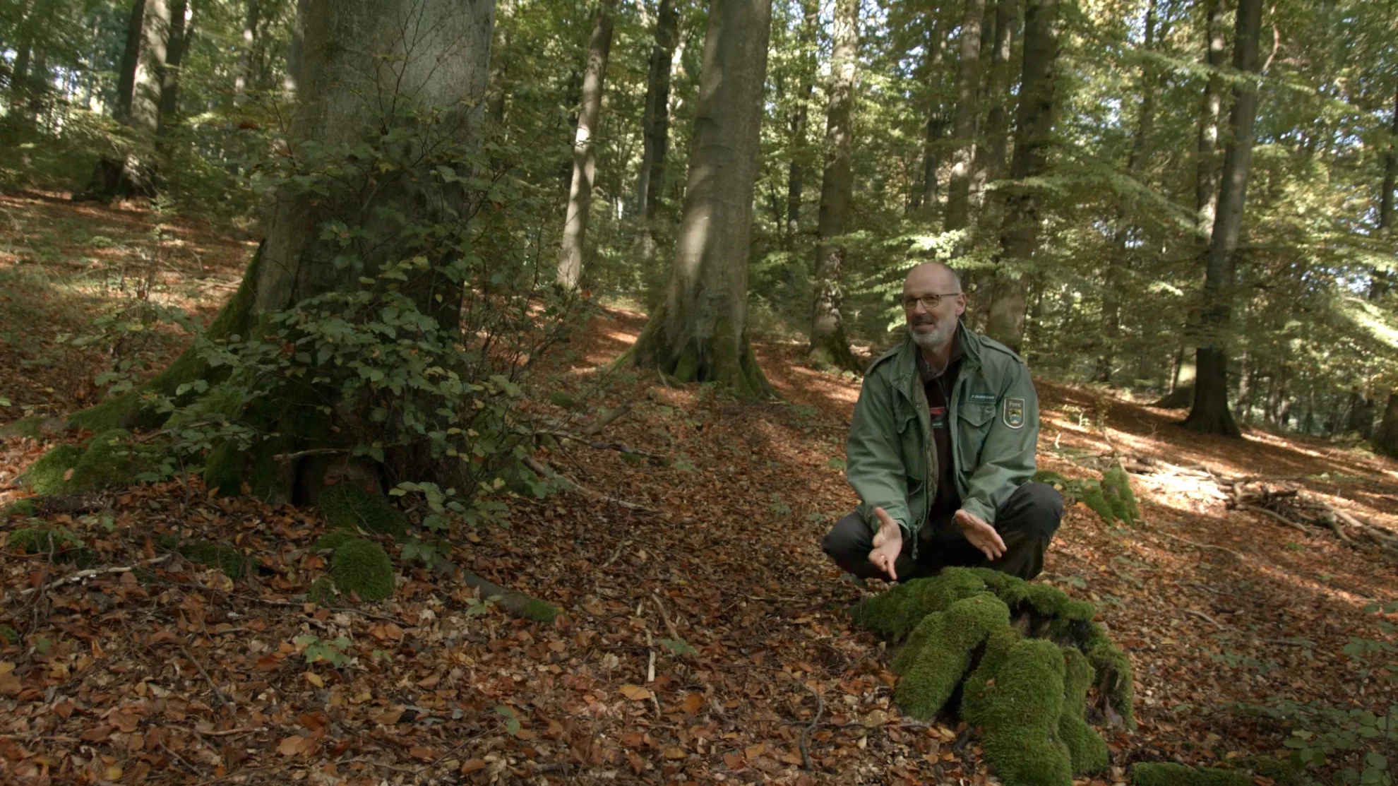 Intelligente Bäume hero banner image placeholder