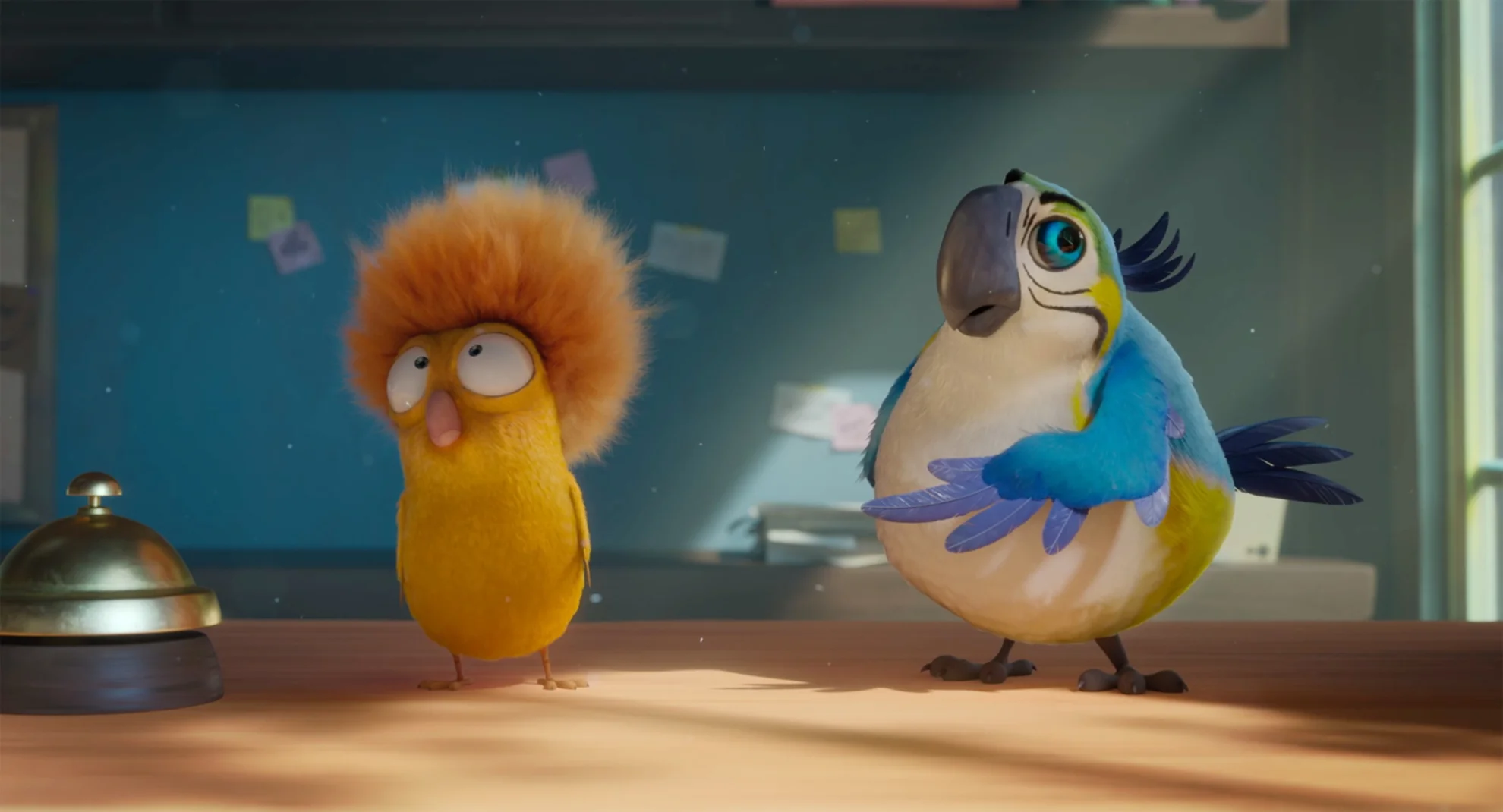 Alles für die Katz hero banner image placeholder