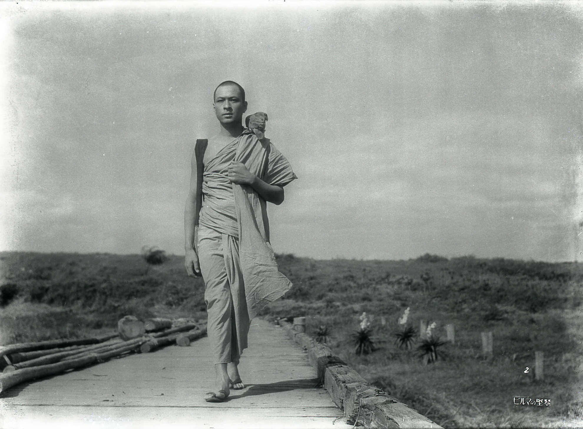 The Burmese Harp hero banner image