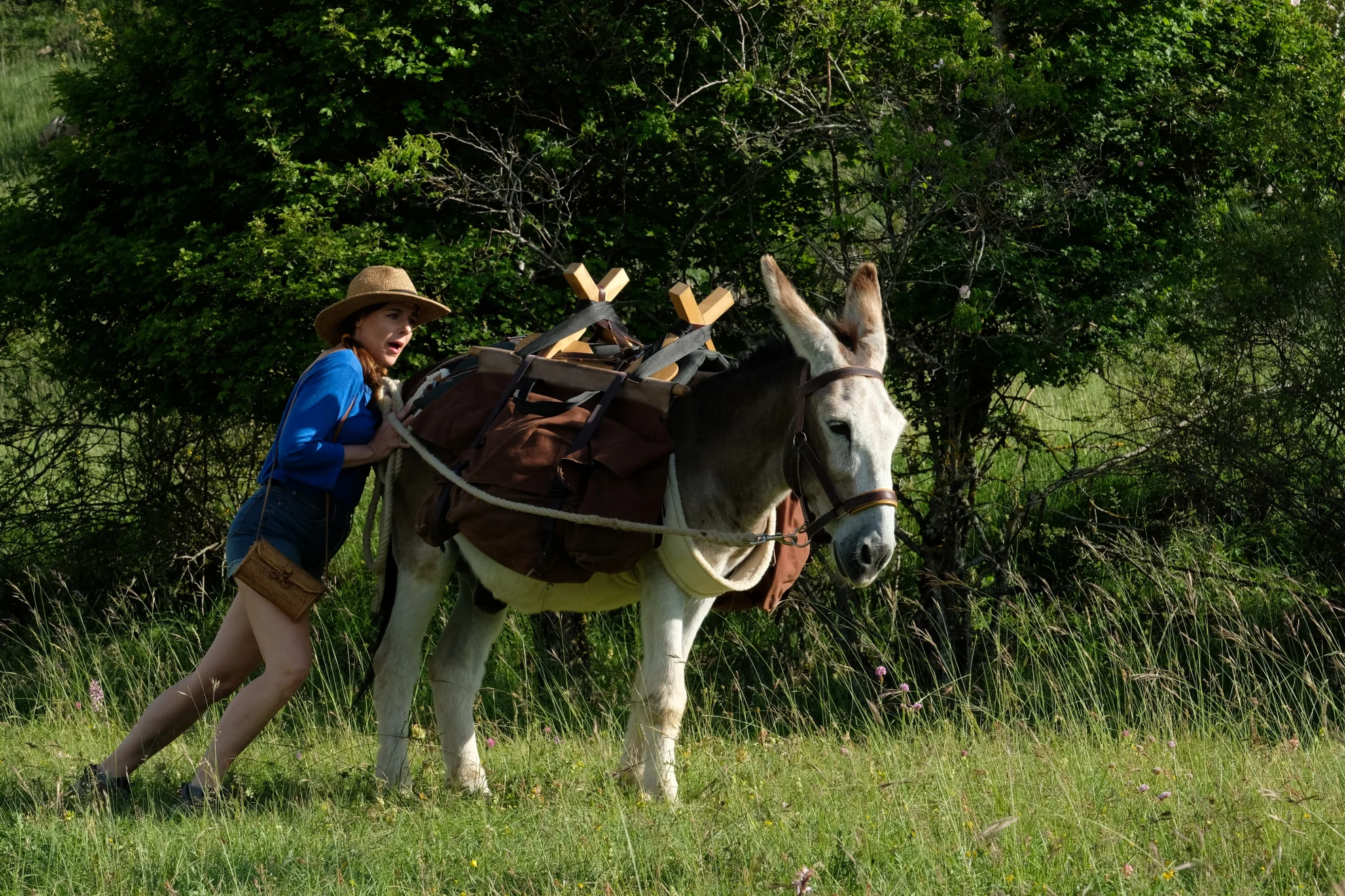 Antoinette dans les Cévennes hero banner image placeholder