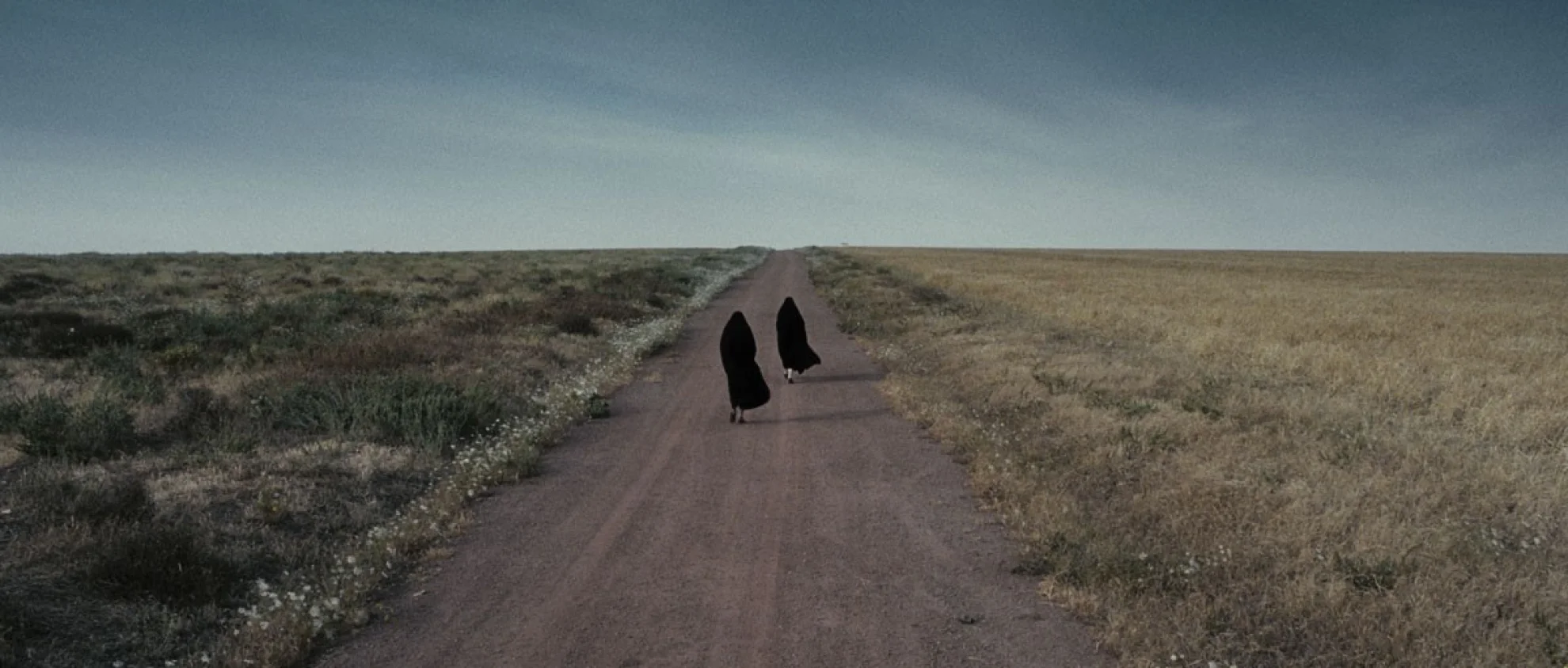 Women Without Men hero banner image placeholder