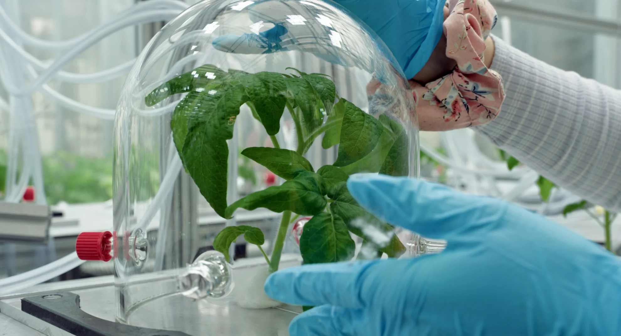 Unter Pflanzen - Ein Perspektivenwechsel hero banner image placeholder