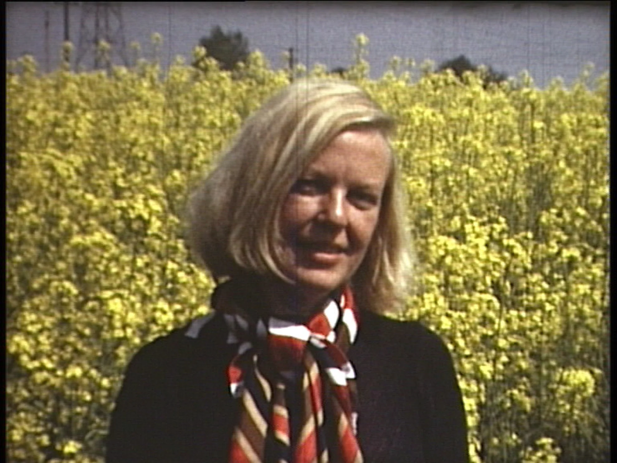 Ingeborg Bachmann – Jemand, der einmal ich war hero banner image placeholder