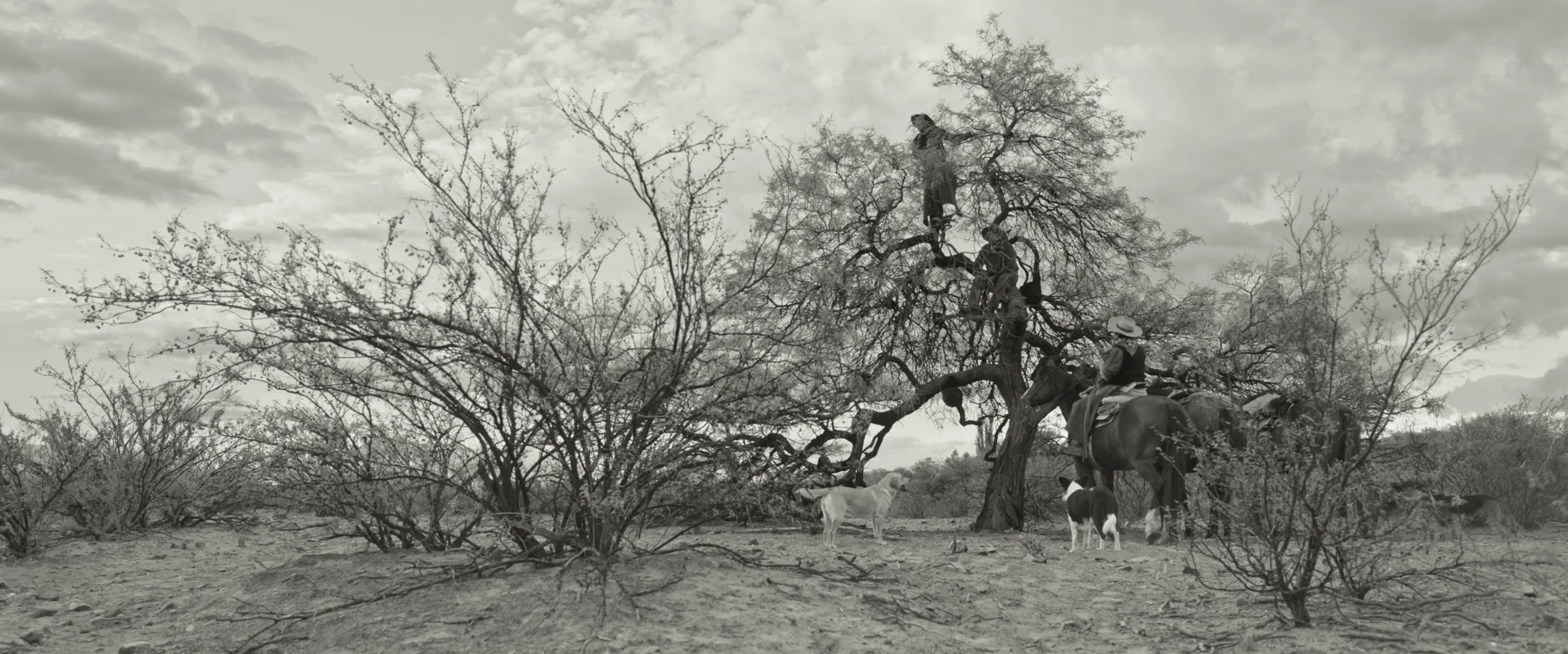 Gaucho Gaucho hero banner image placeholder