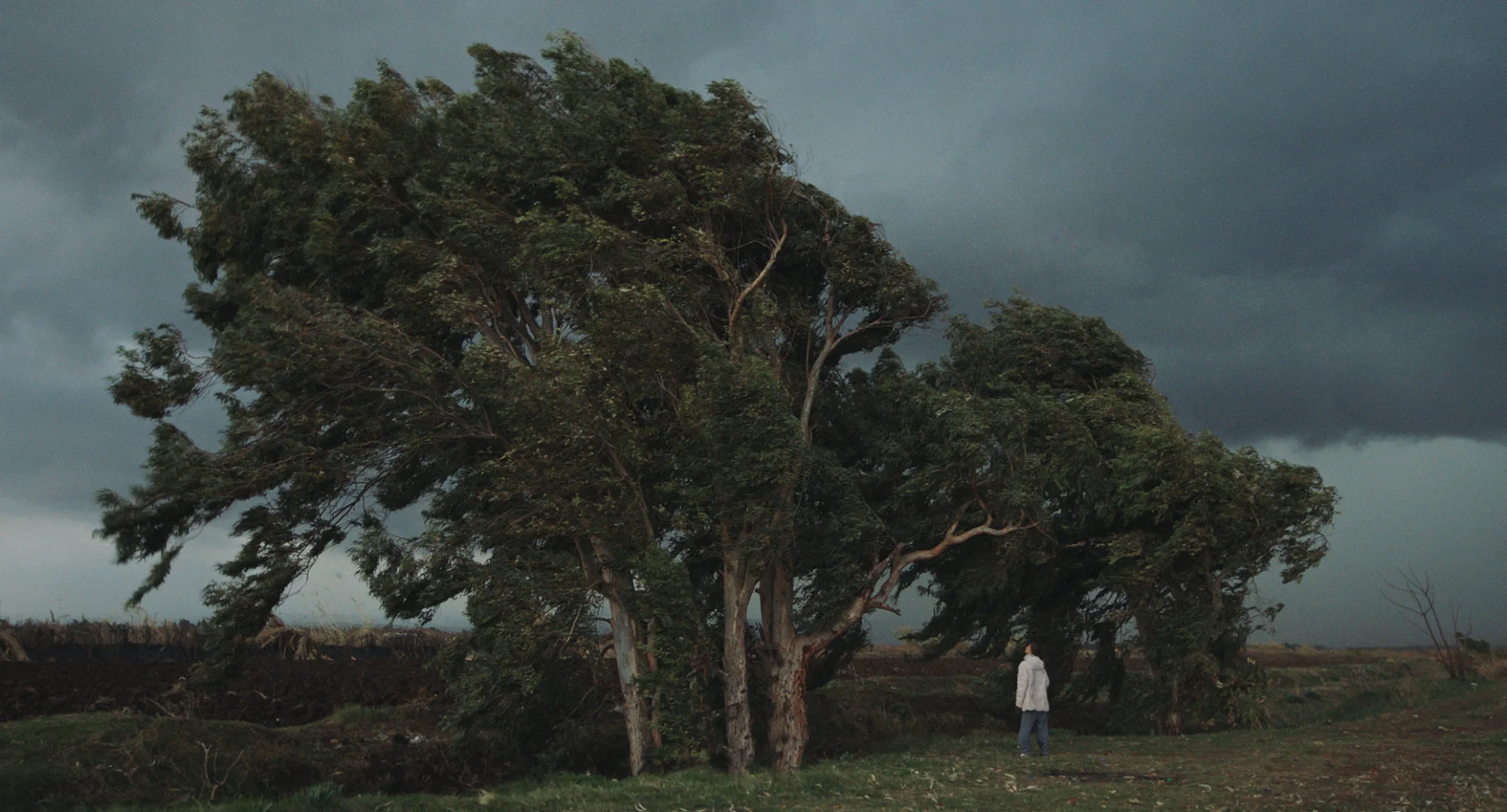 Notturno hero banner image placeholder