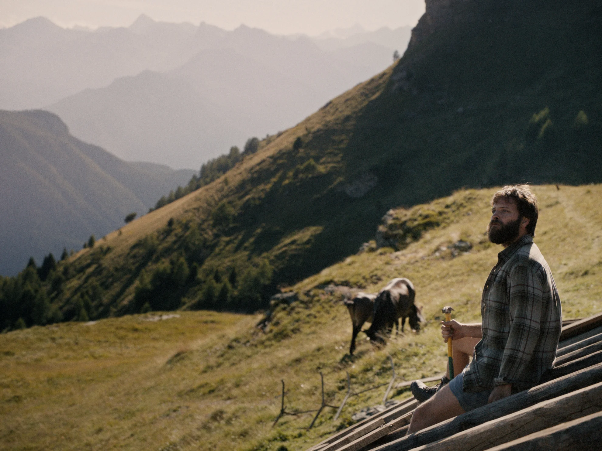 Le otto montagne hero banner image placeholder