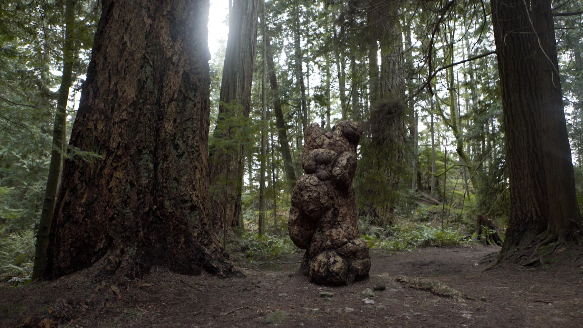 Intelligente Bäume hero banner image