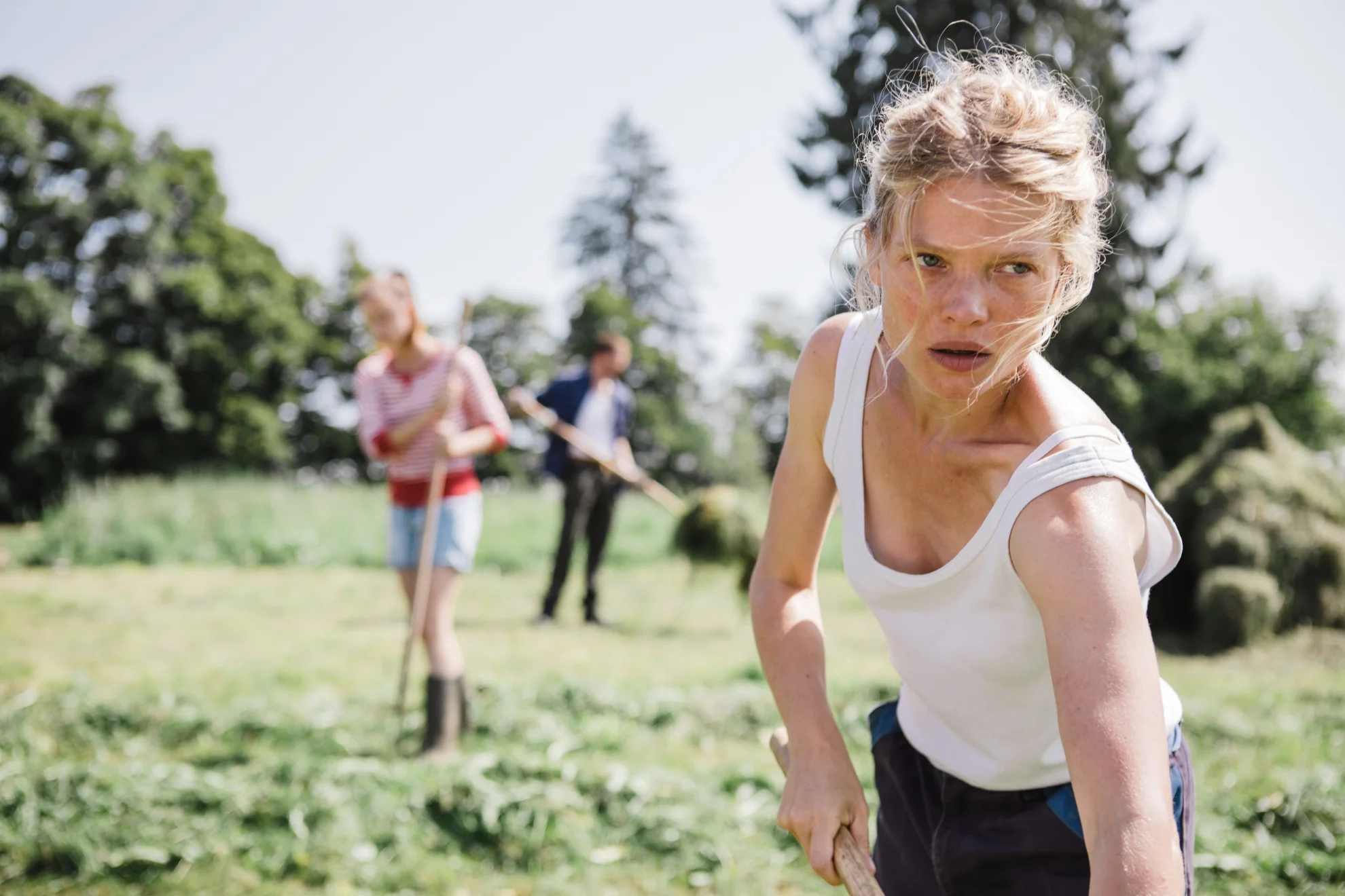 Le vent tourne hero banner image