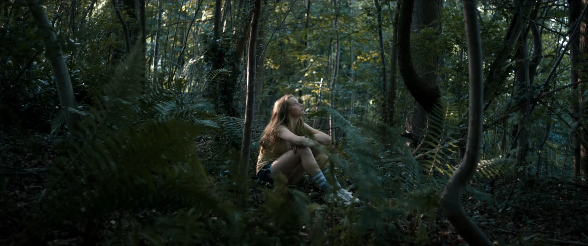 Fokus: Luna Wedler hero banner image placeholder