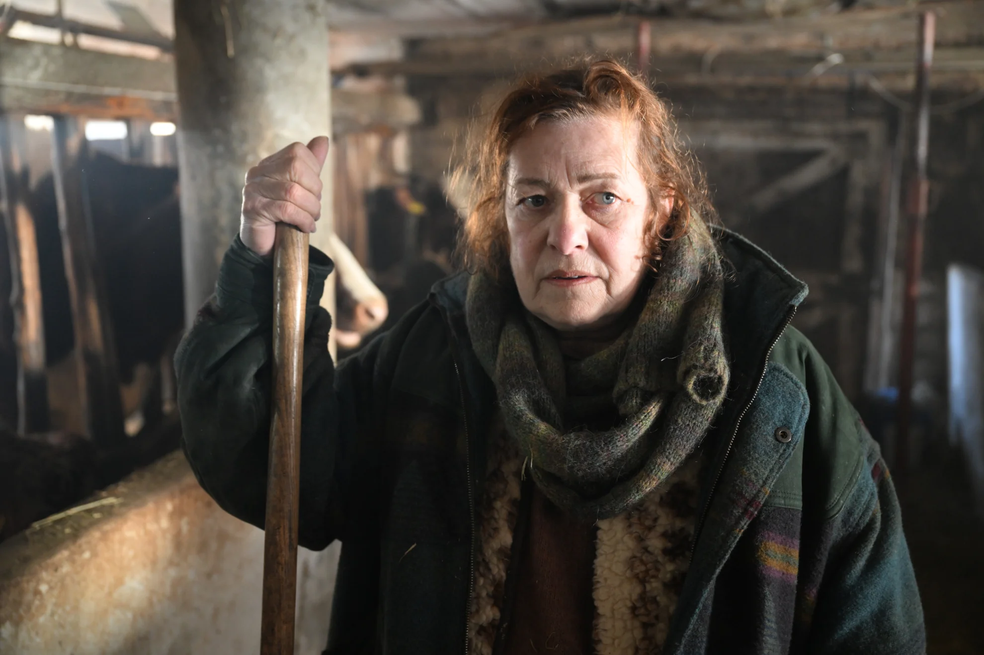 Bisons hero banner image placeholder