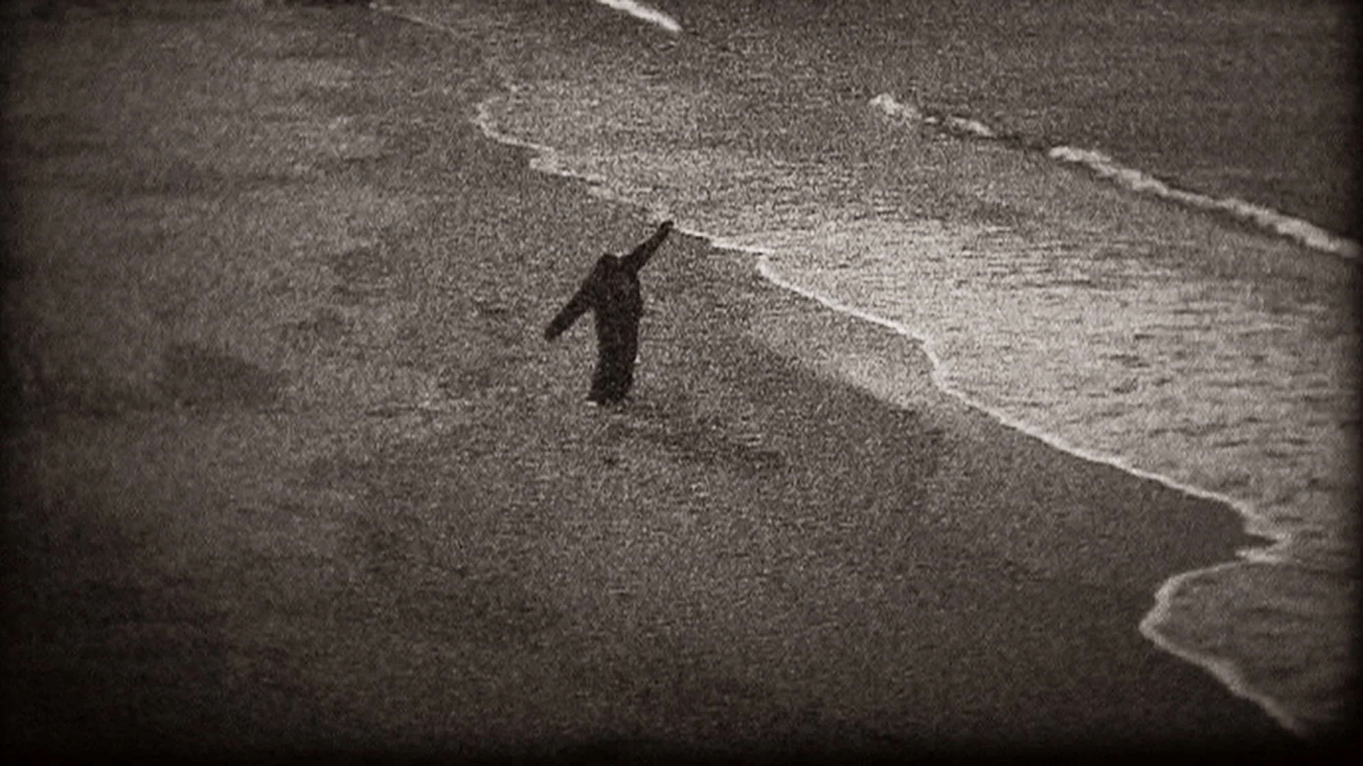 Sound of Insects hero banner image placeholder