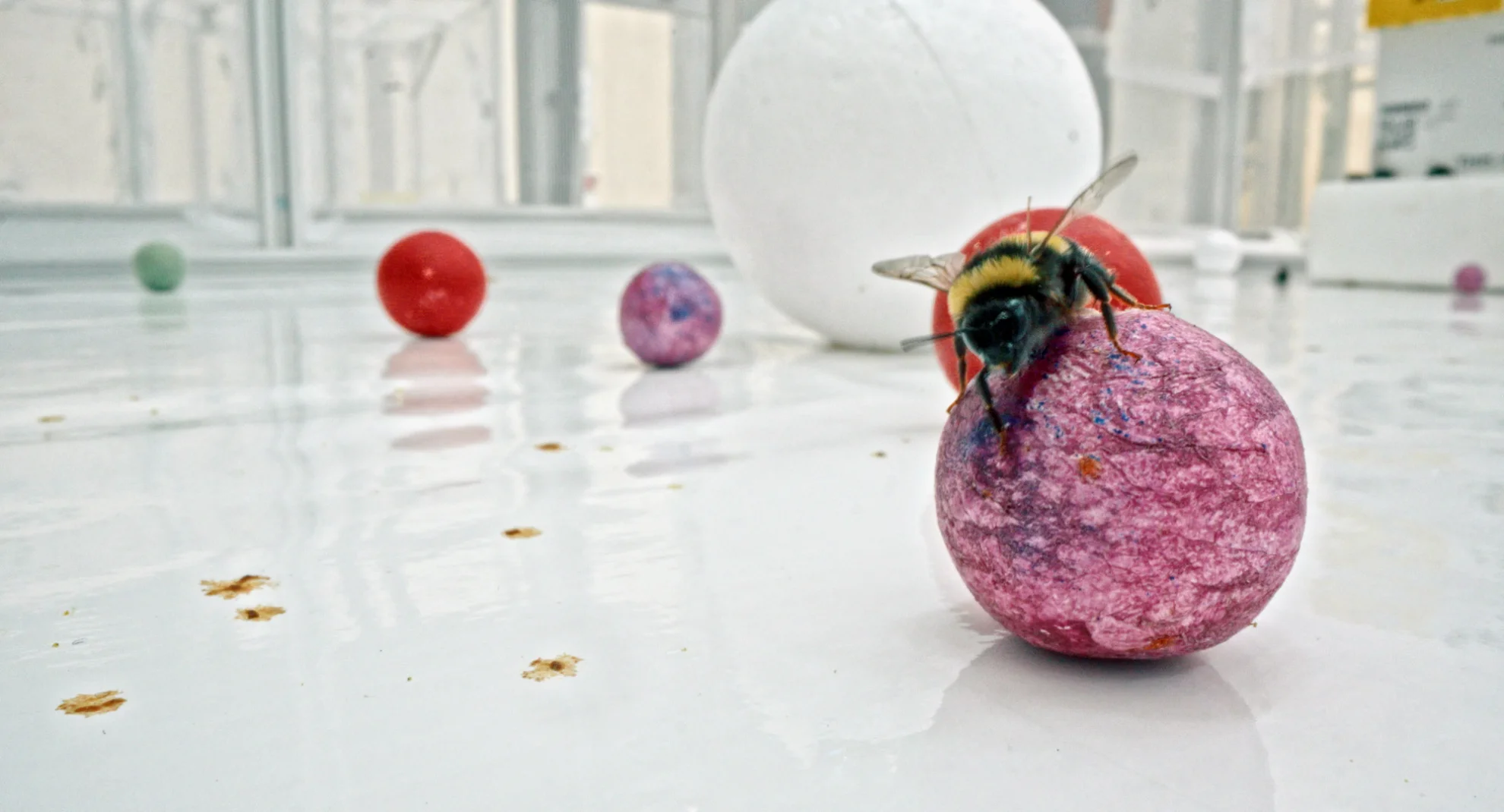 Unter Pflanzen - Ein Perspektivenwechsel hero banner image placeholder