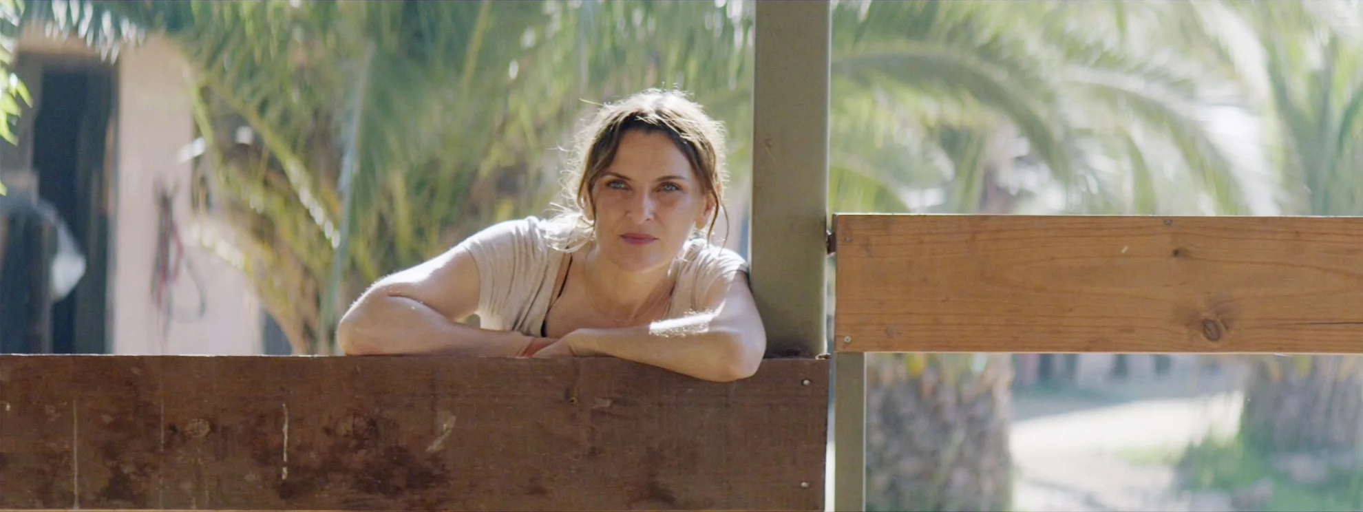 Los Perros hero banner image placeholder