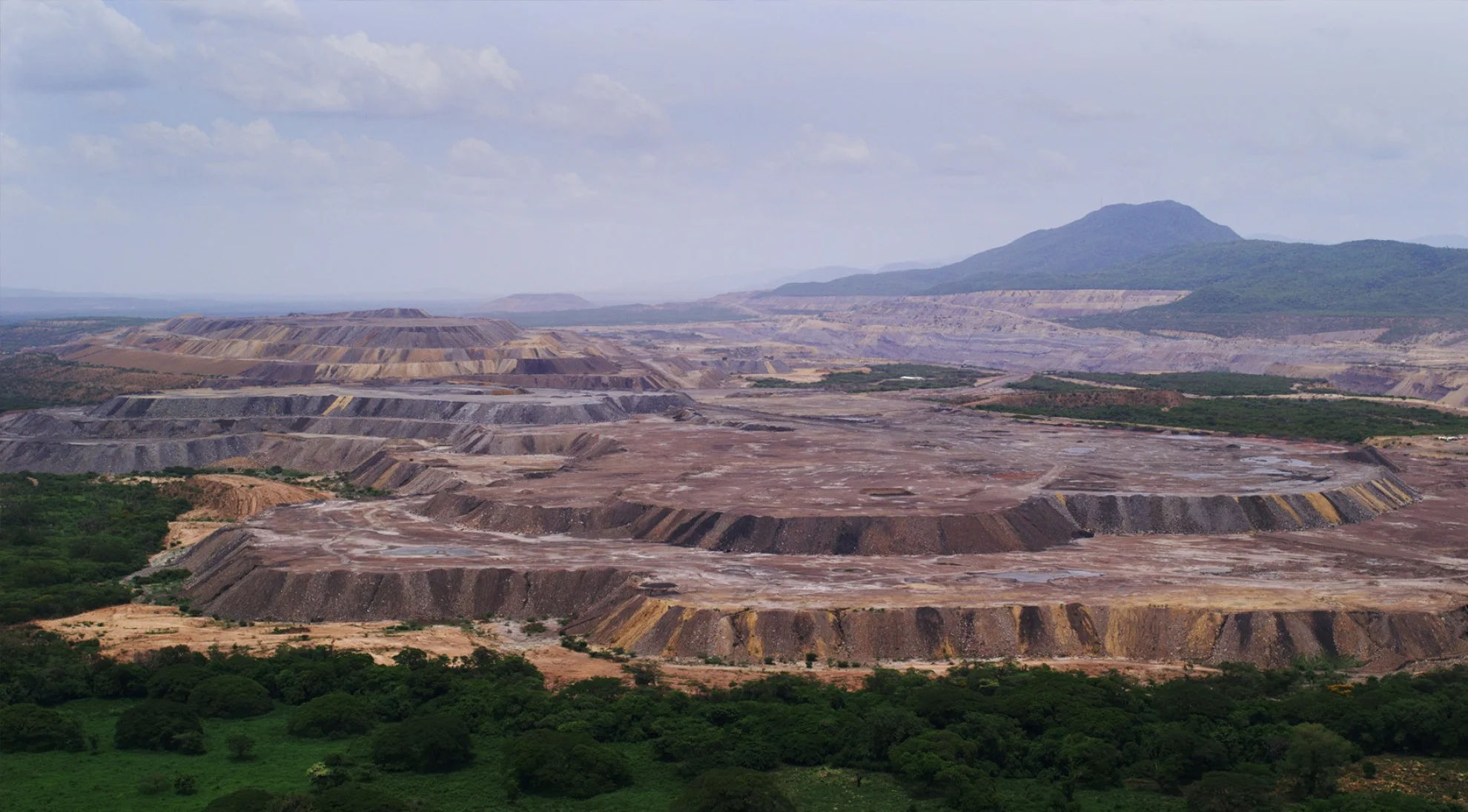 La buena vida hero banner image placeholder